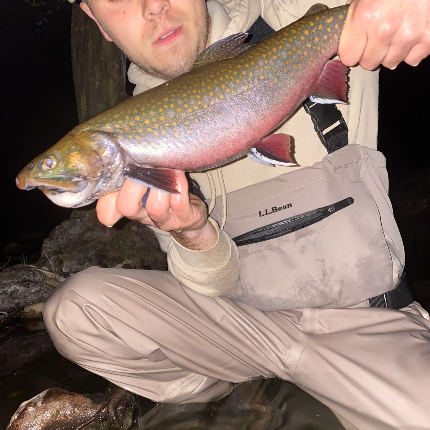 angler catch