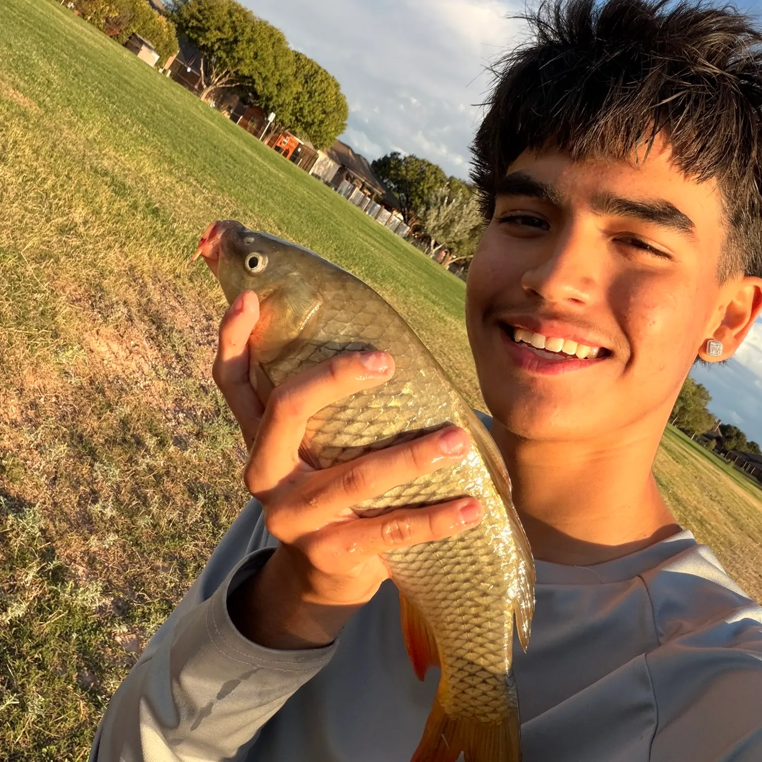 Common carp caught on Fishbrain