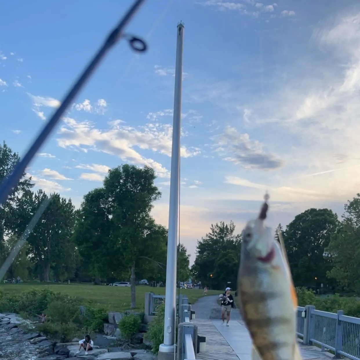 catch