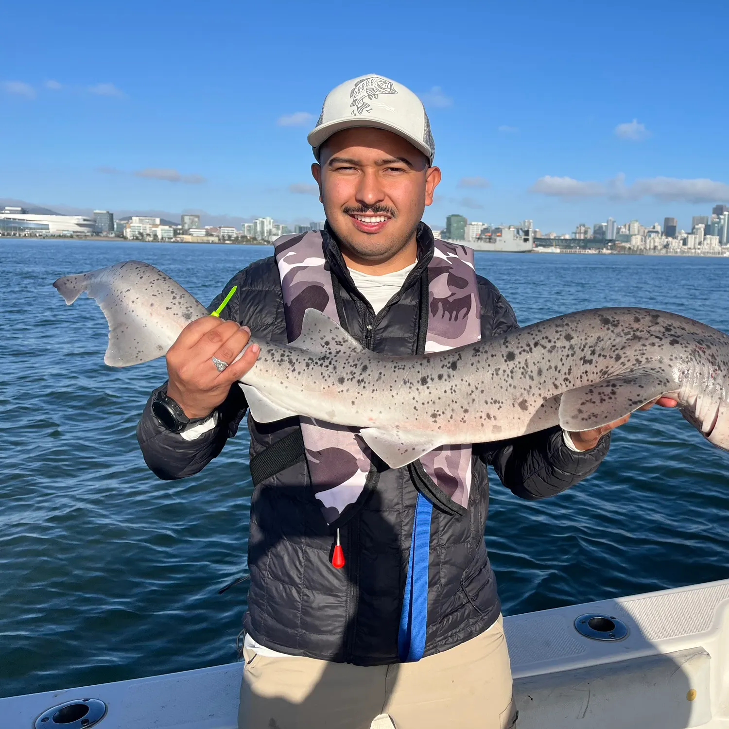 Broadnose sevengill shark caught on Fishbrain