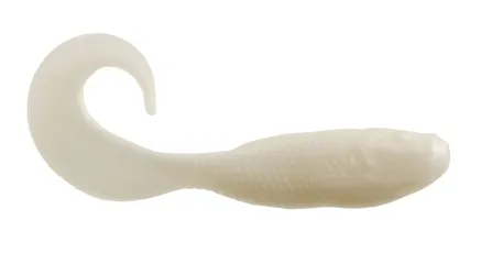 Alive! Swimming Mullet