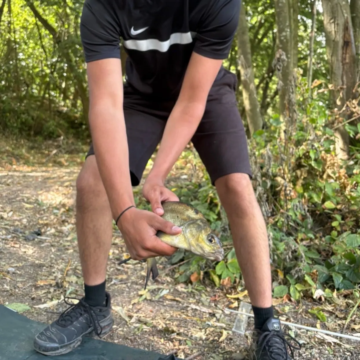 Common bream caught on Fishbrain