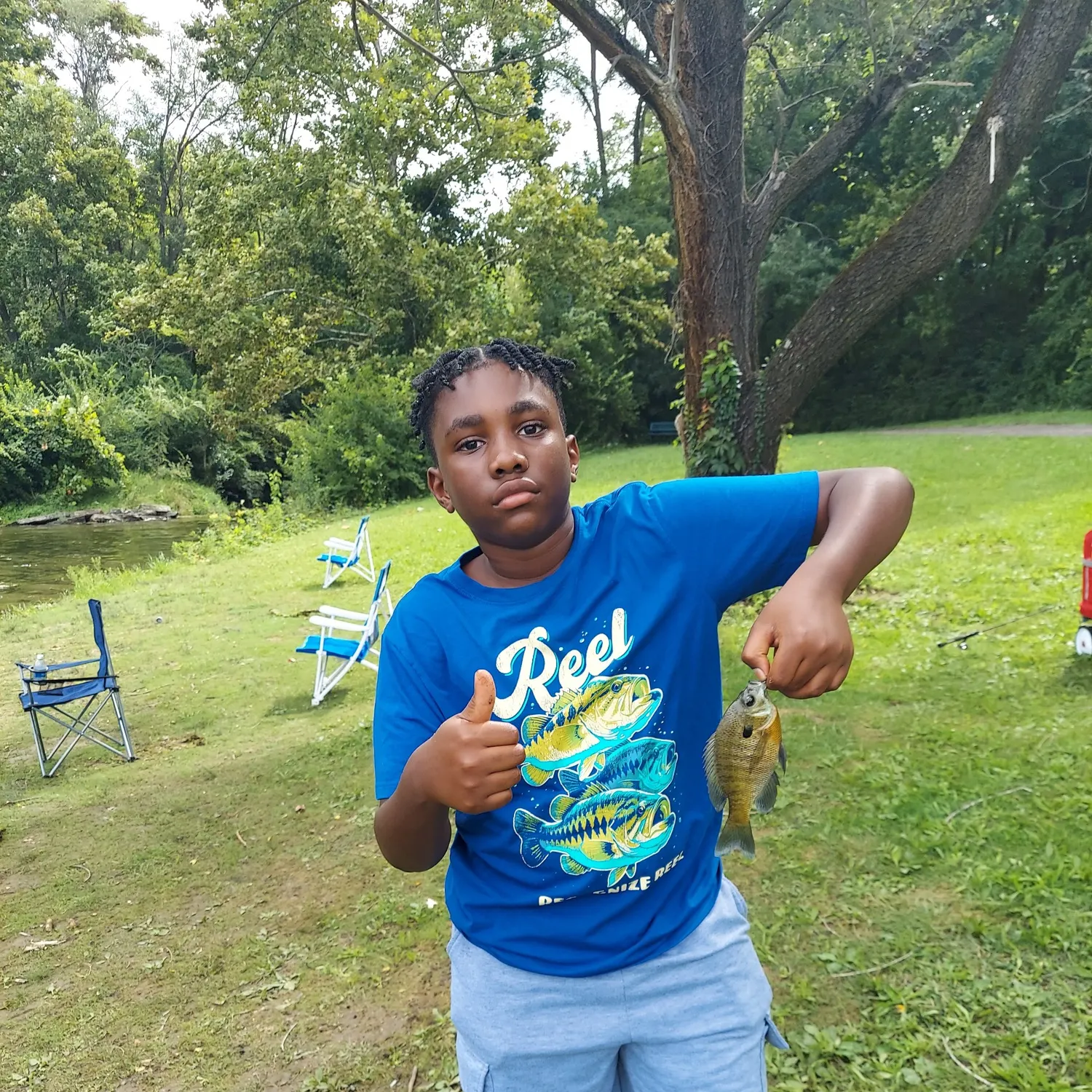 Bluegill caught on Fishbrain