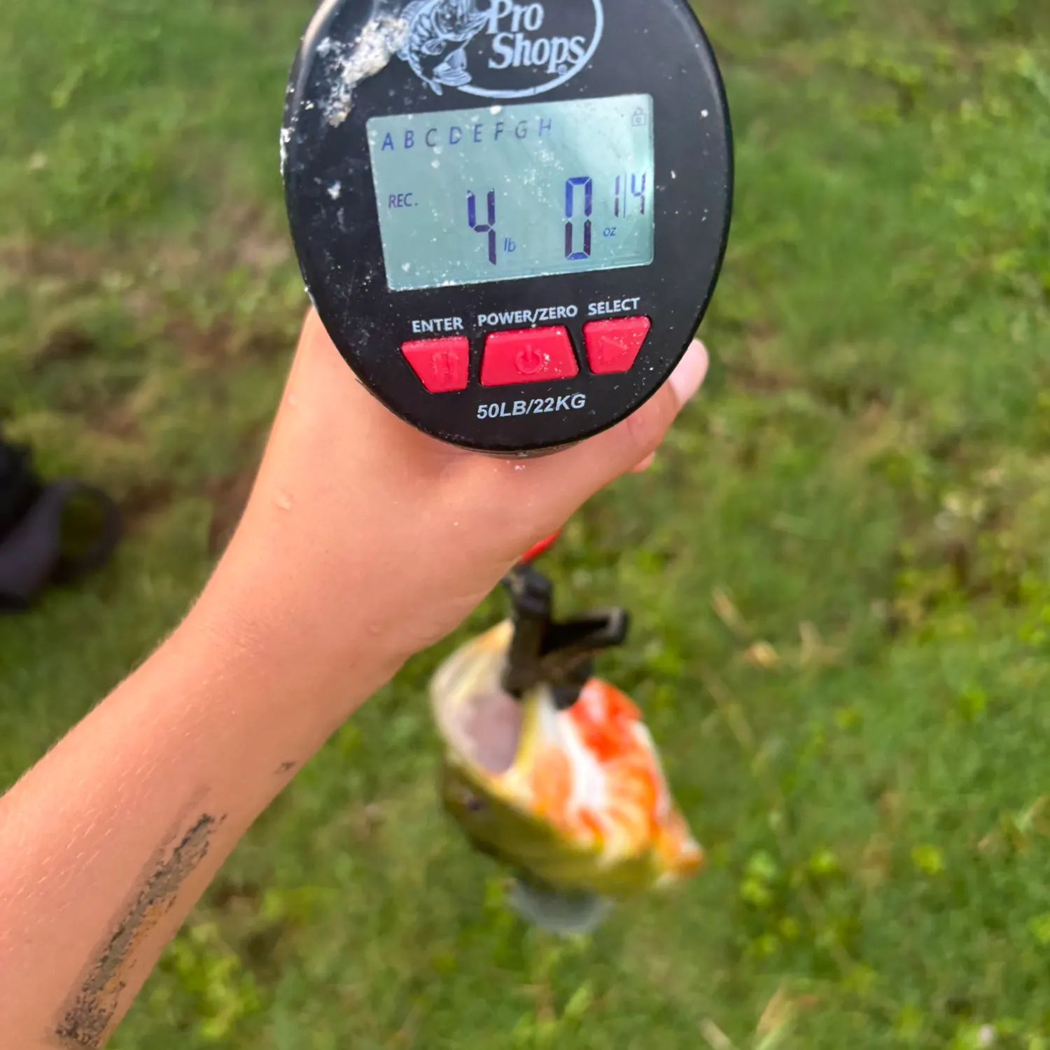 Fish caught on Fishbrain