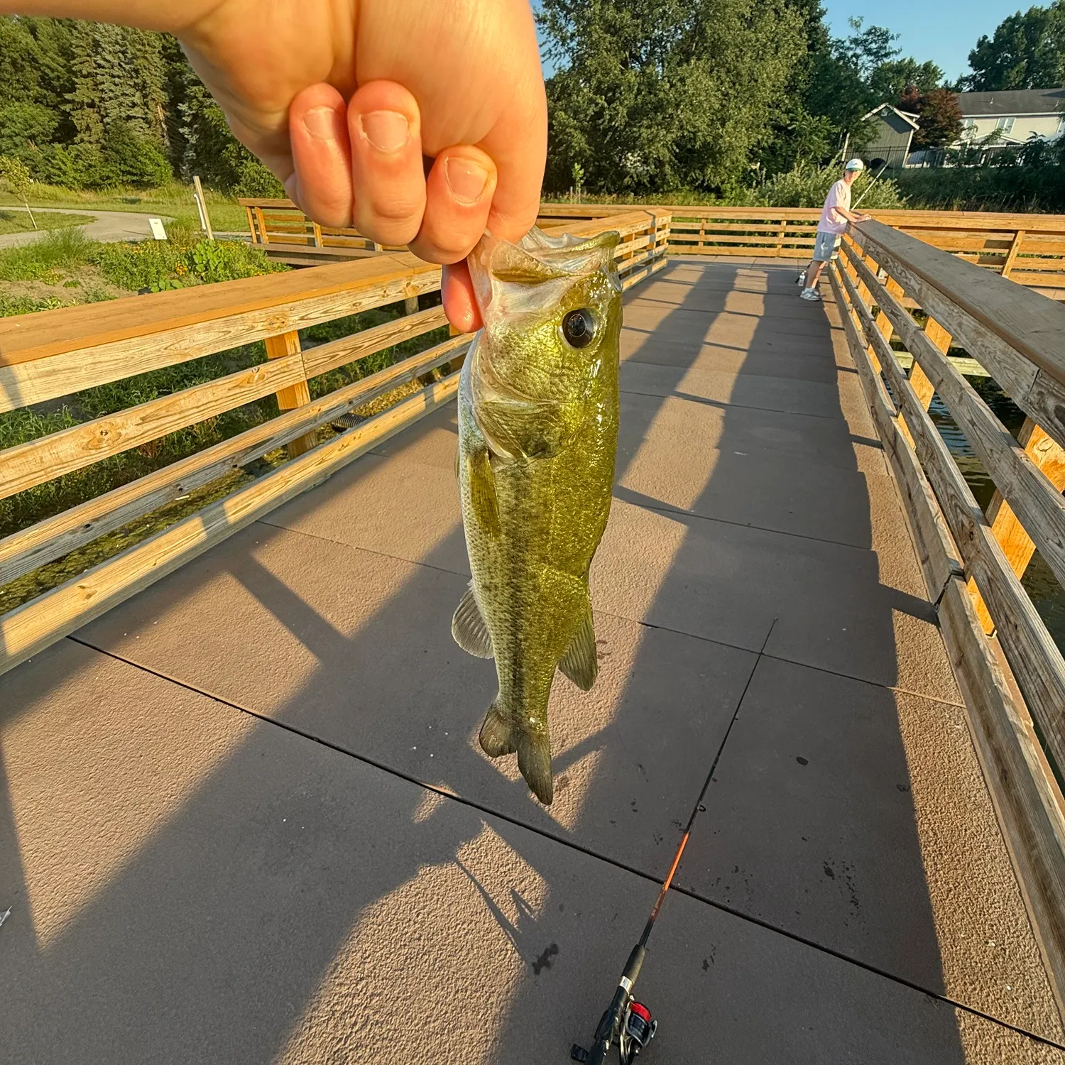 catch