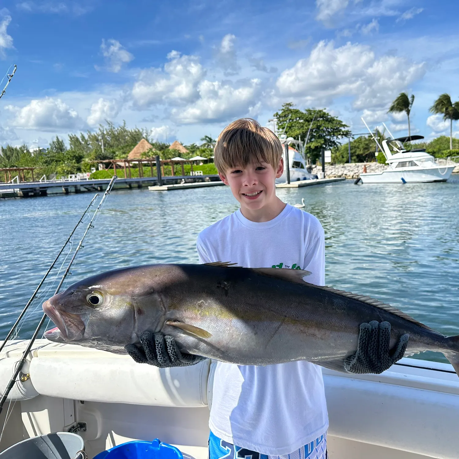 The most recent Greater amberjack catches on Fishbrain