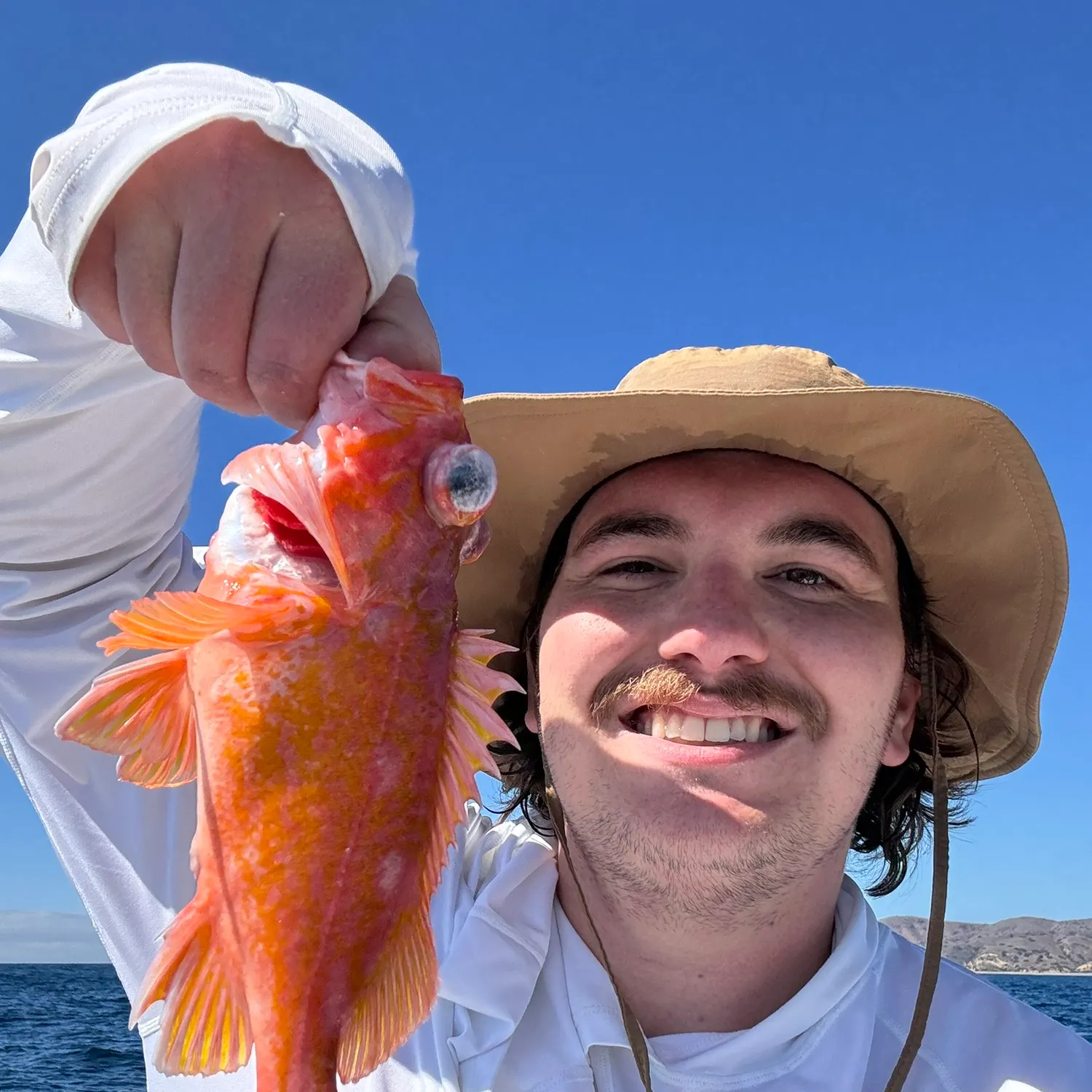 The most recent Rosy rockfish catches on Fishbrain