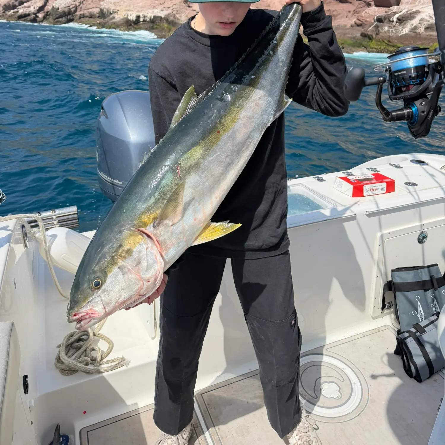 The most recent California yellowtail amberjack catches on Fishbrain