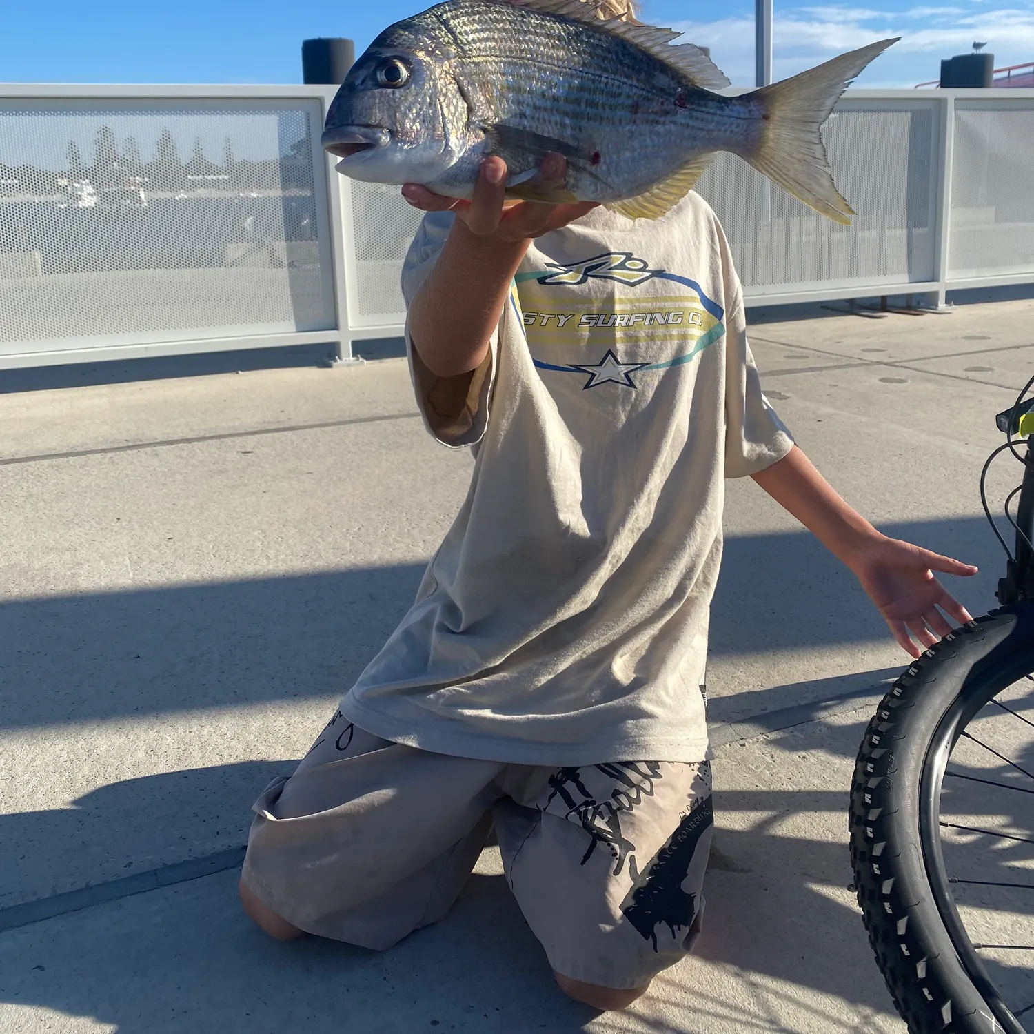 The most recent Goldlined seabream catches on Fishbrain