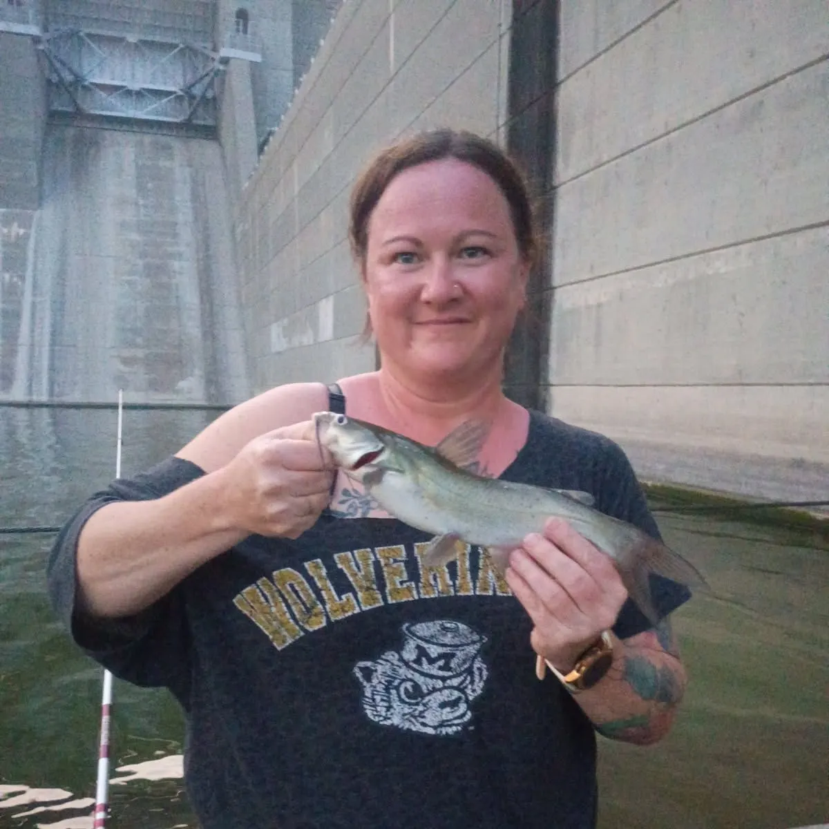 Channel catfish caught on Fishbrain