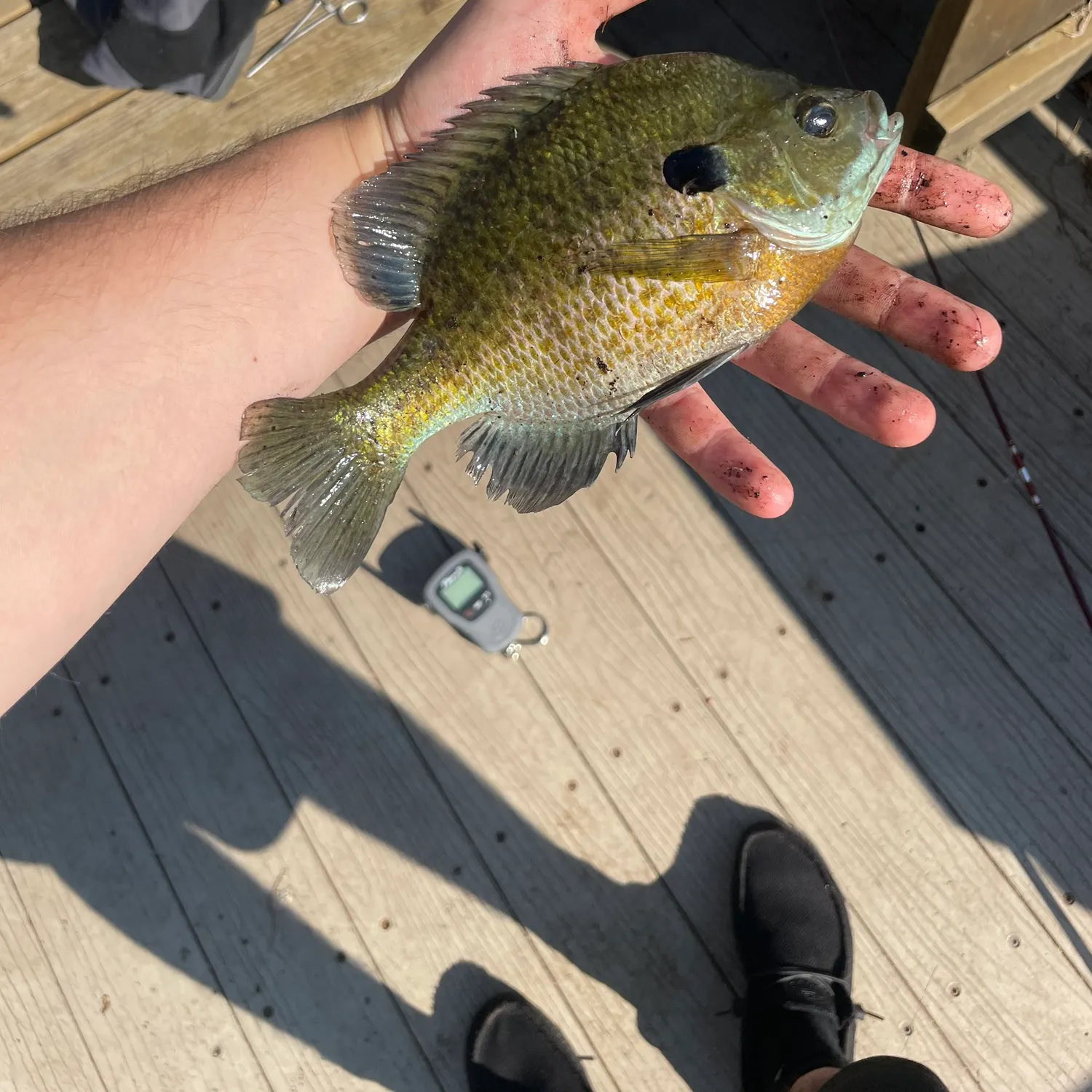 catch