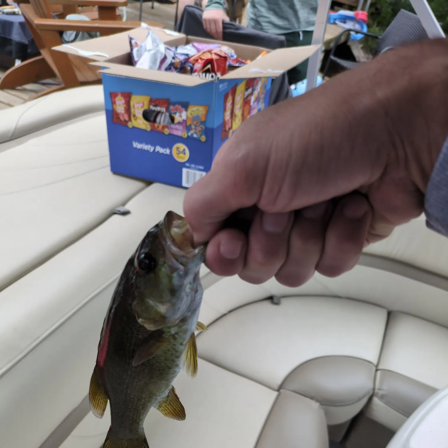 Smallmouth bass caught on Fishbrain