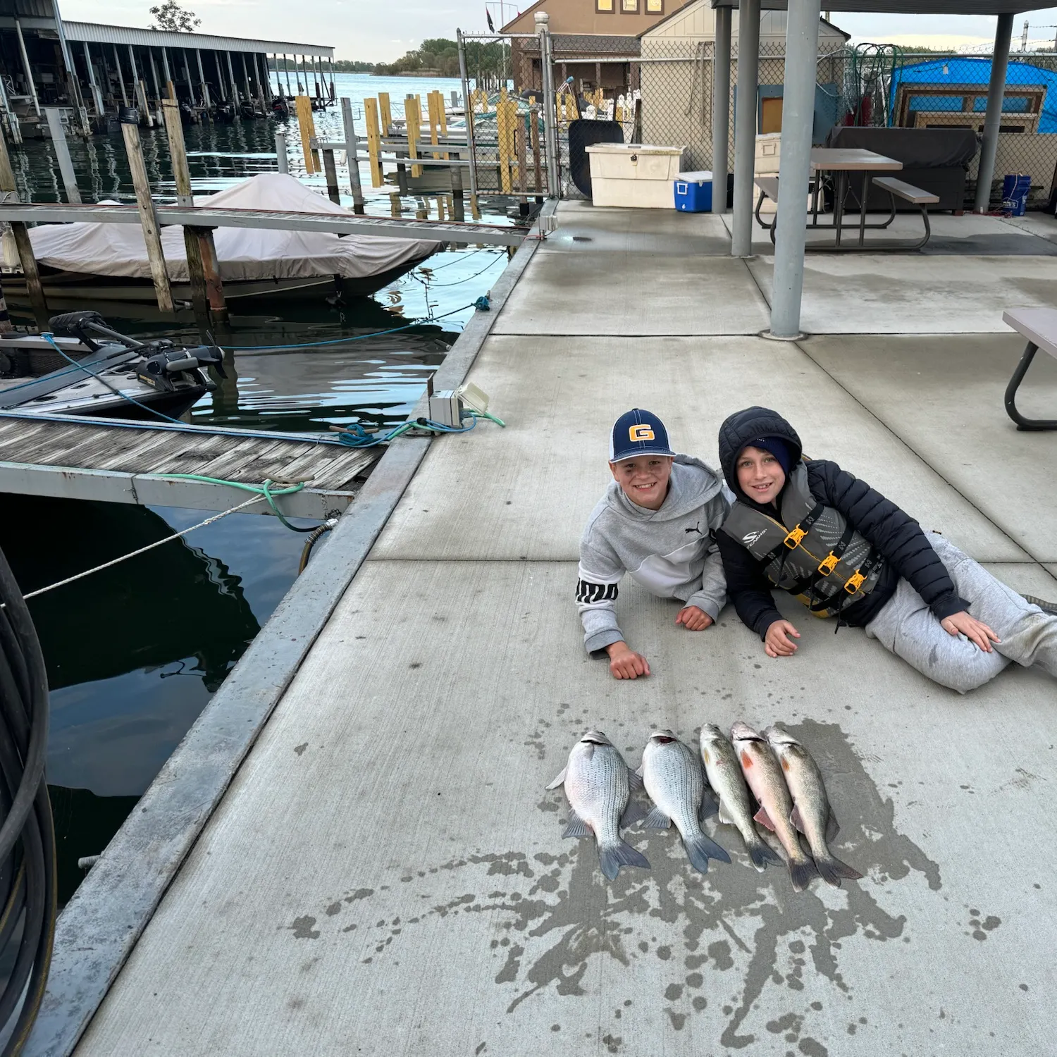 The most recent White bass catches on Fishbrain