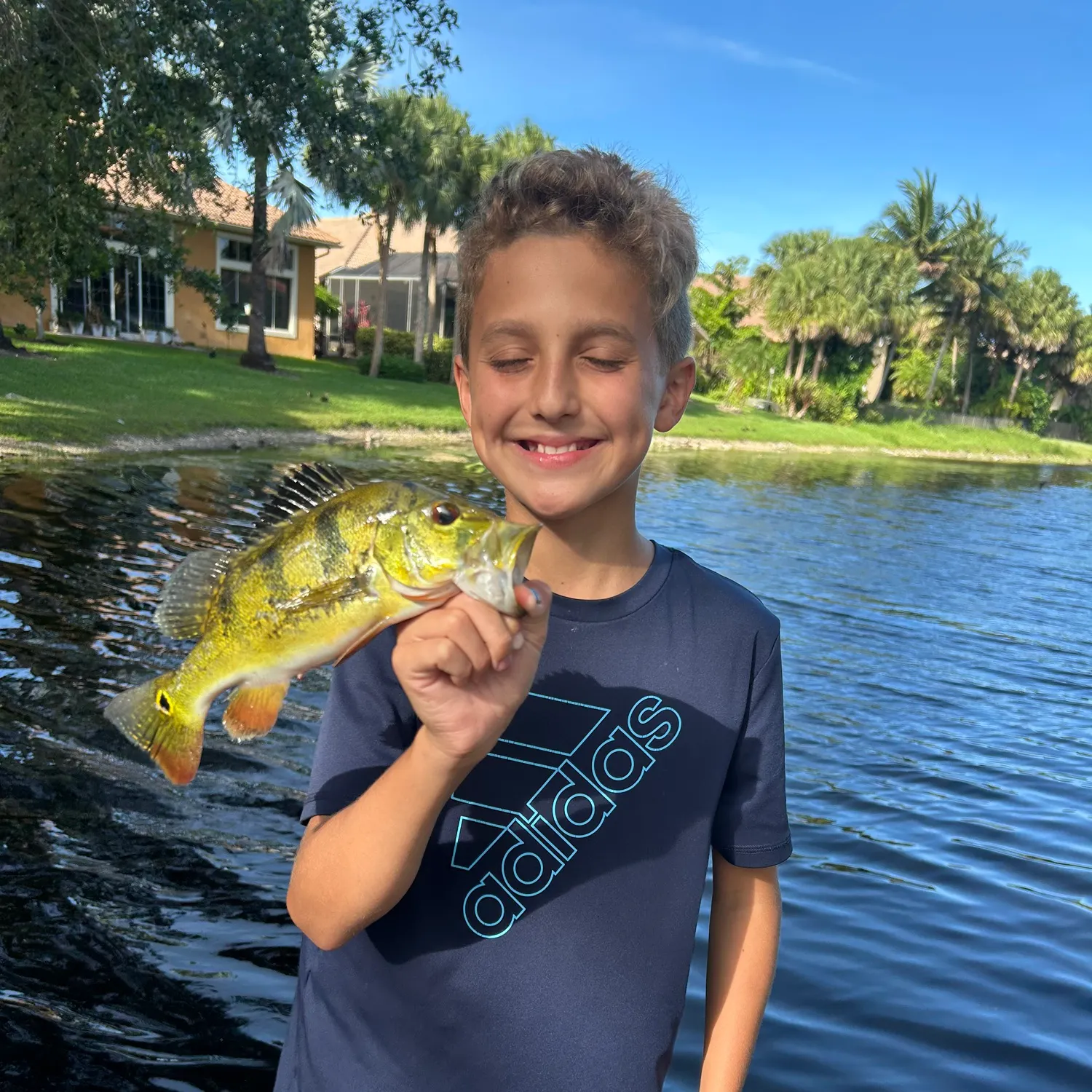 The most recent Butterfly peacock bass catches on Fishbrain