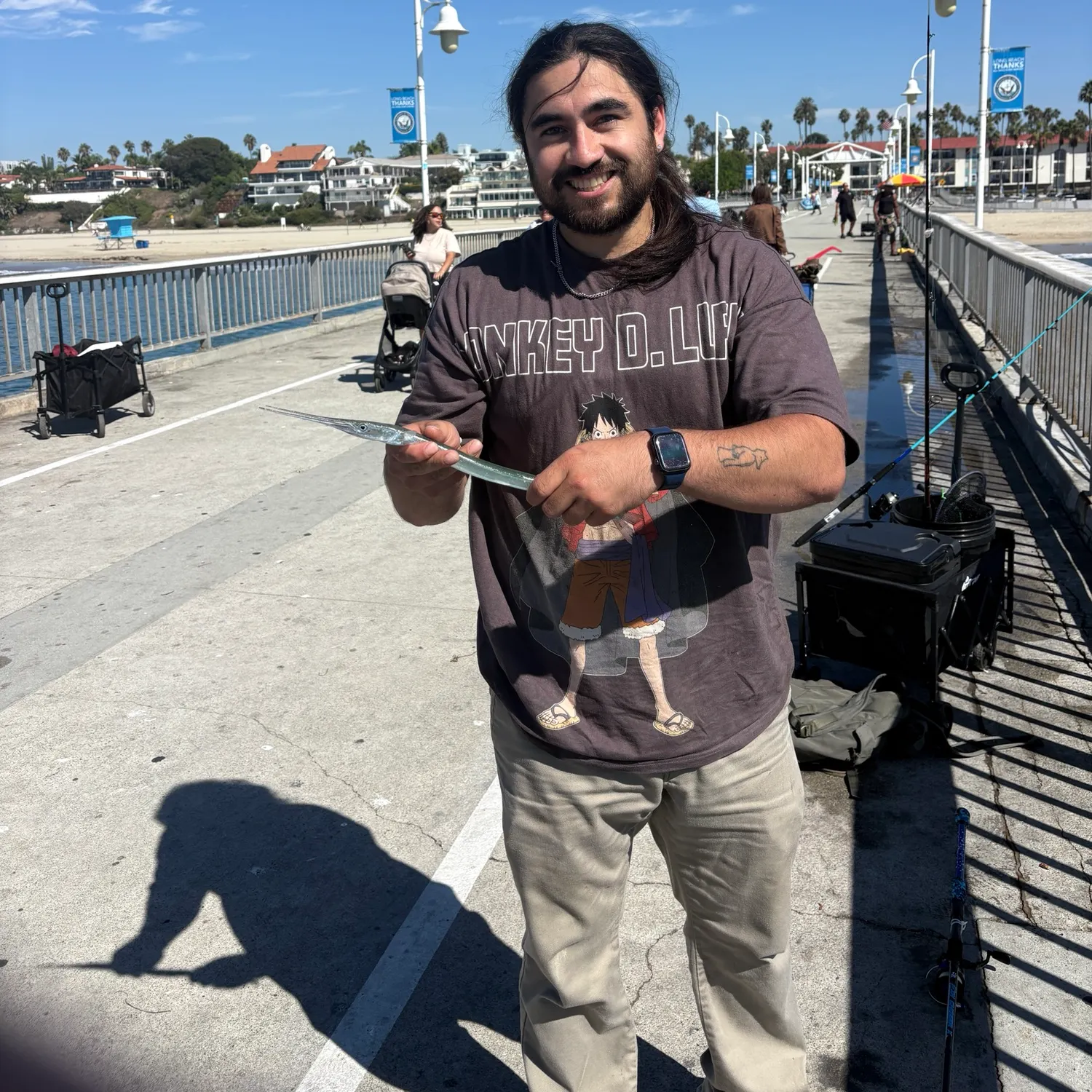 The most recent California needlefish catches on Fishbrain