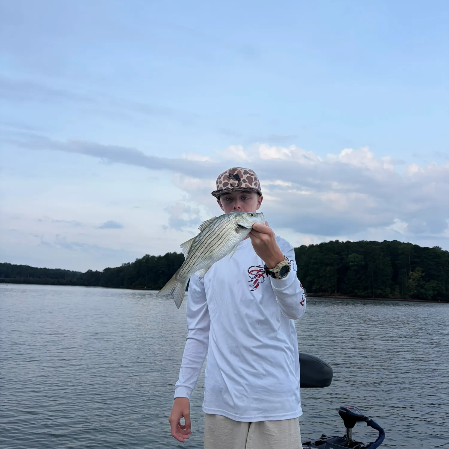 White bass caught on Fishbrain