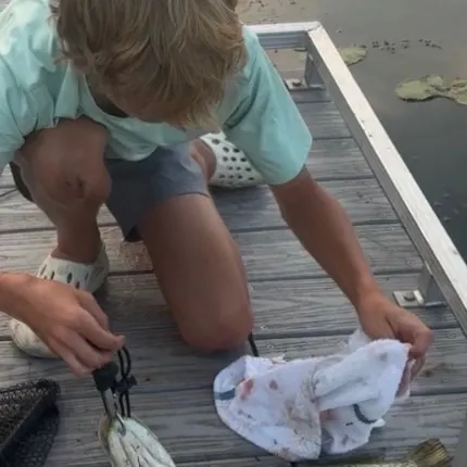 Northern pike caught on Fishbrain