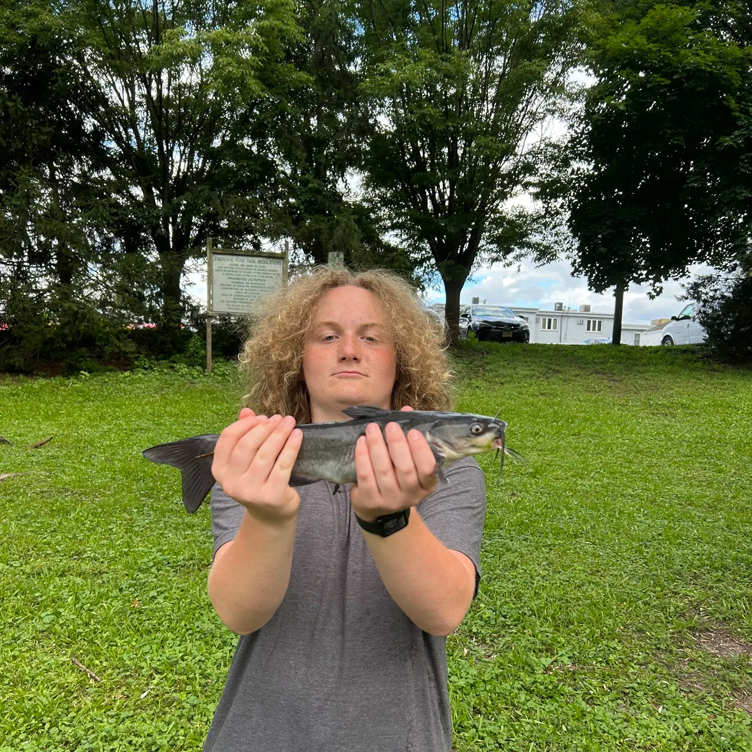 Channel catfish caught on Fishbrain