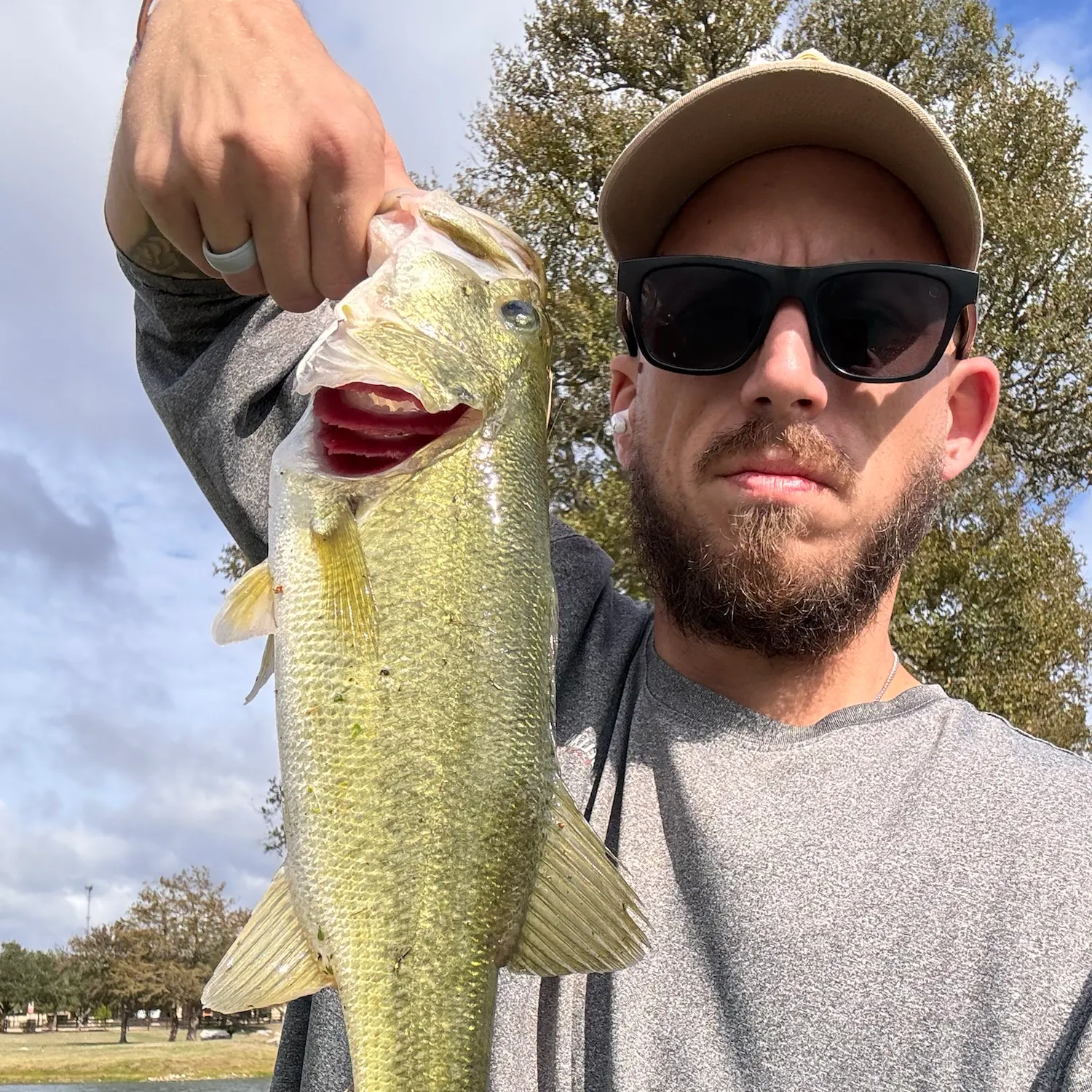 Largemouth bass caught on Fishbrain