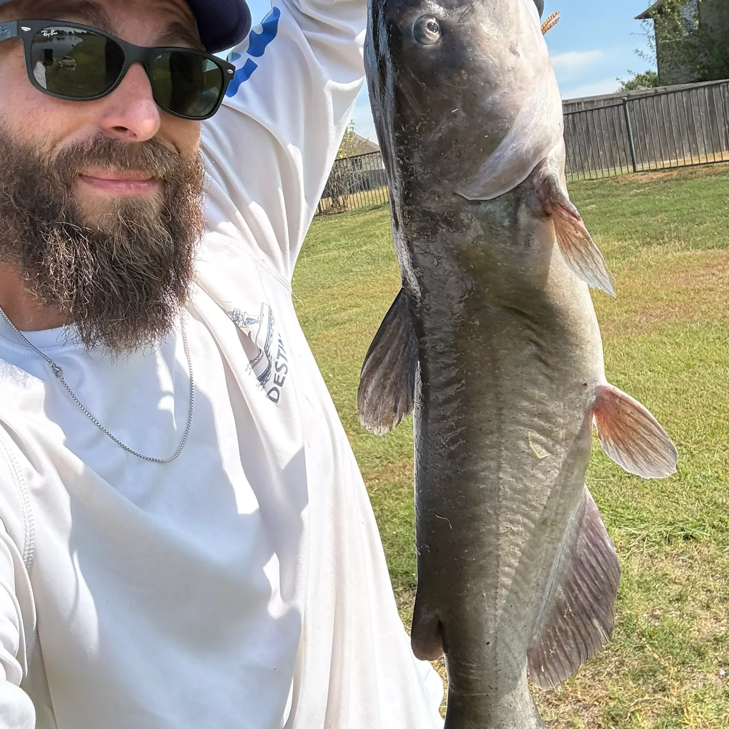 Channel catfish caught on Fishbrain