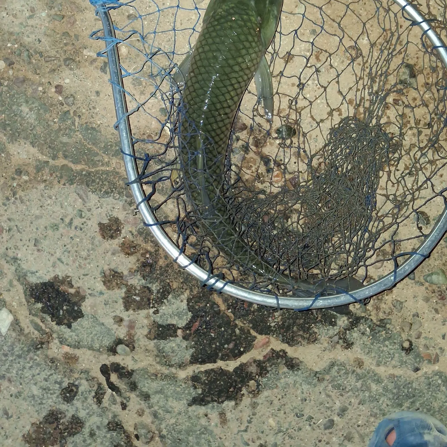 catch