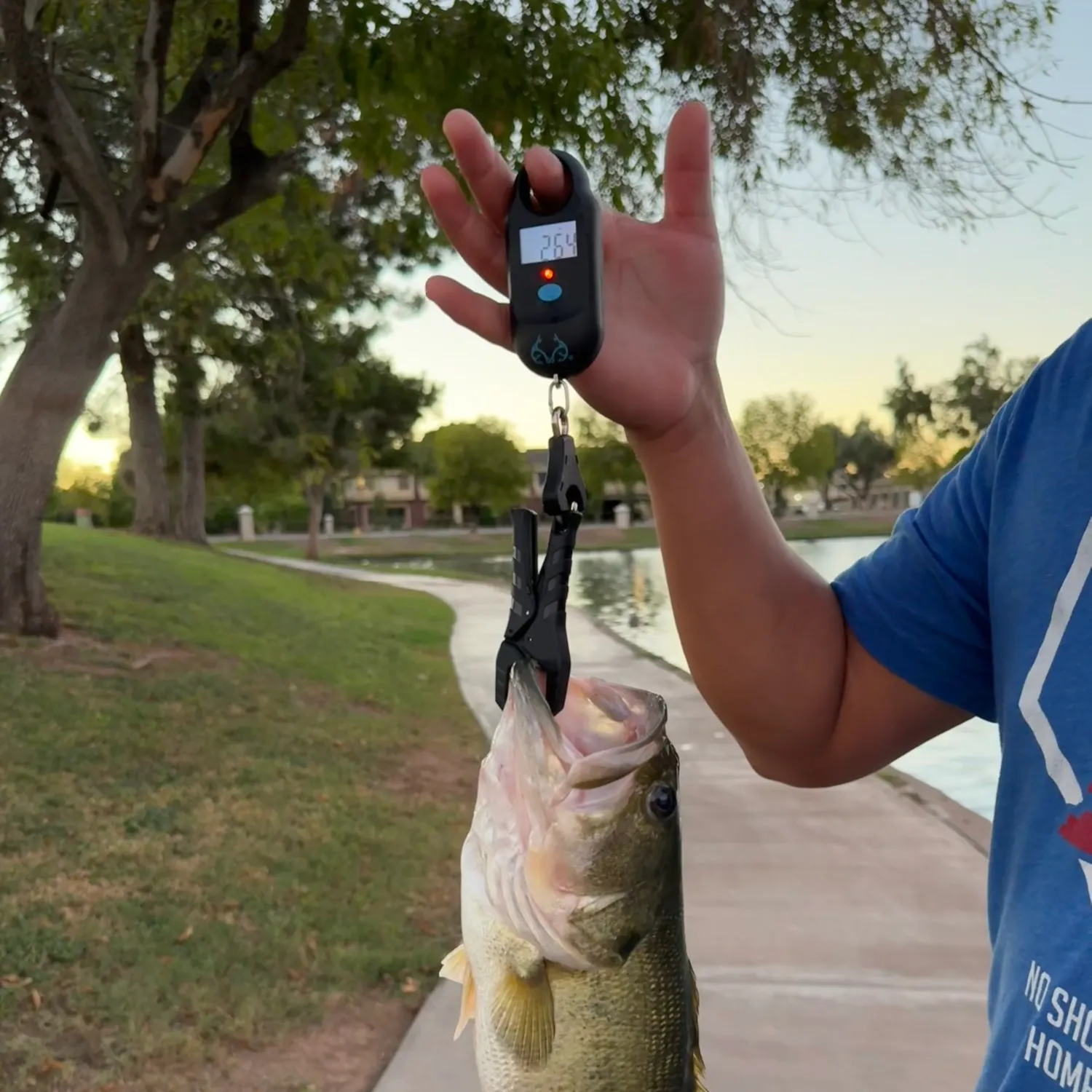 Largemouth bass caught on Fishbrain