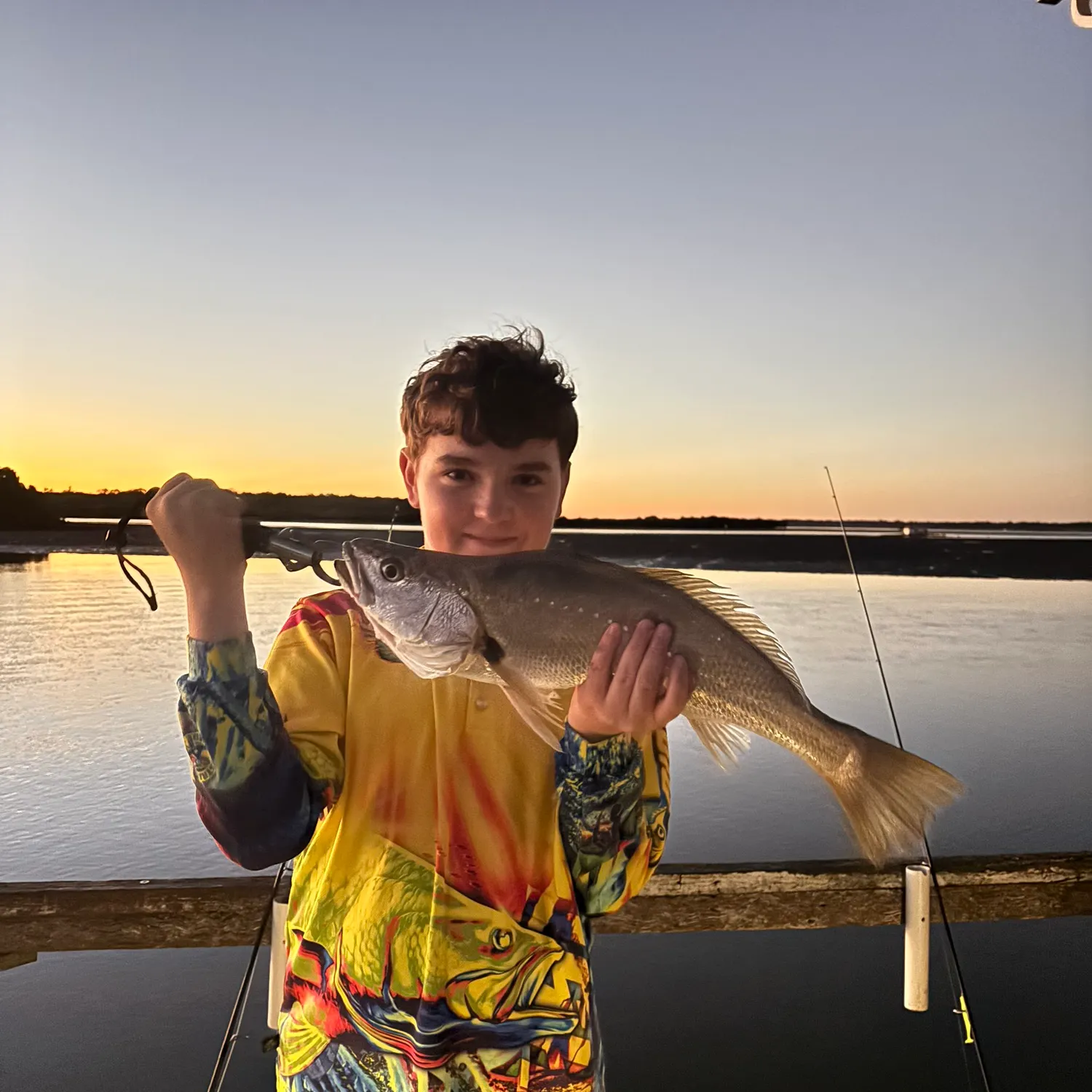 The most recent Japanese meagre catches on Fishbrain