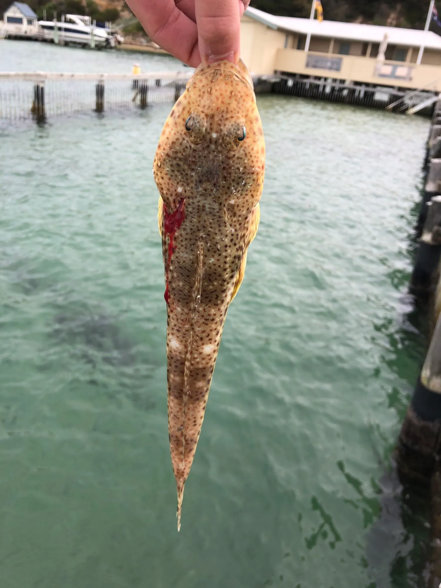 Post image from hugodeague