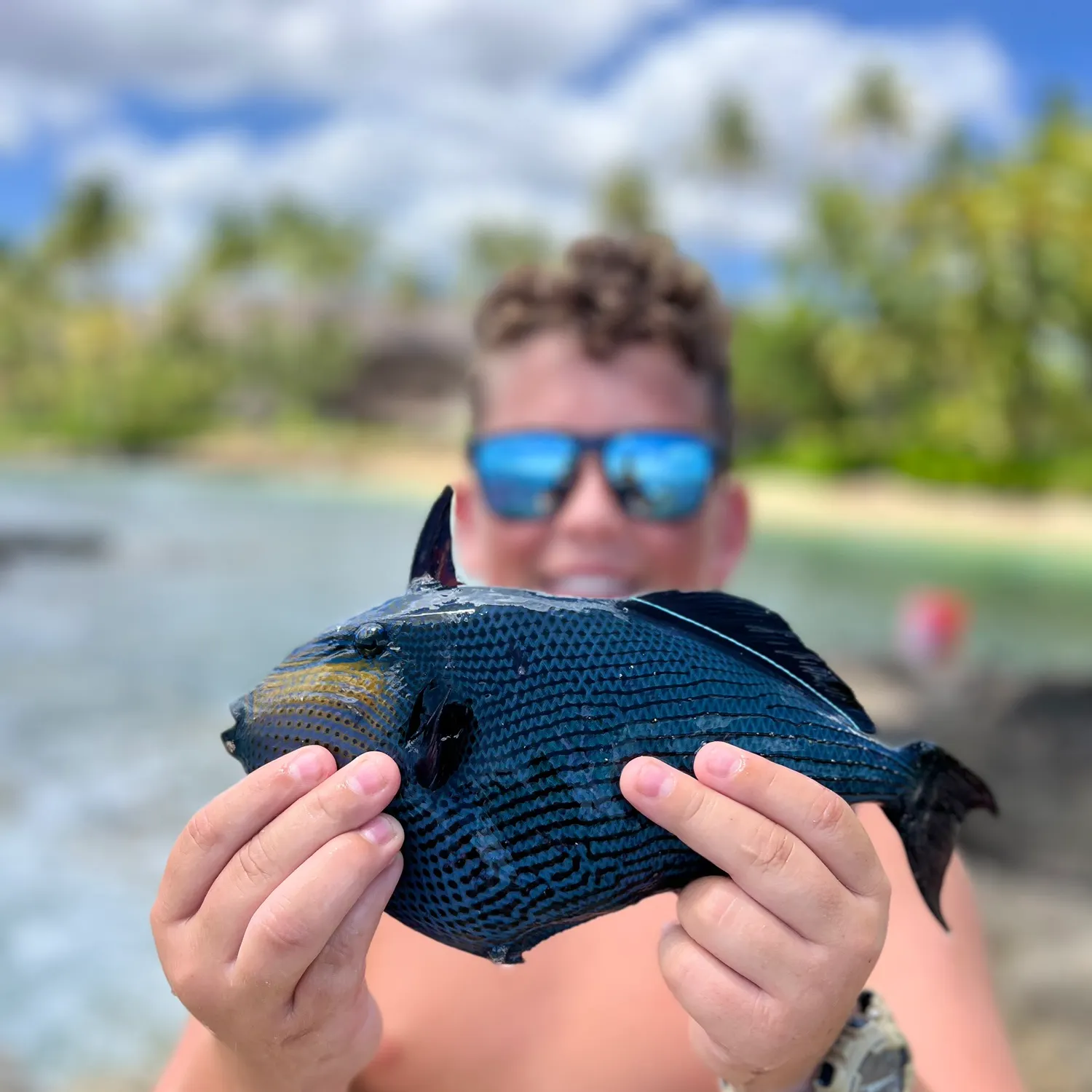 The most recent Indian triggerfish catches on Fishbrain