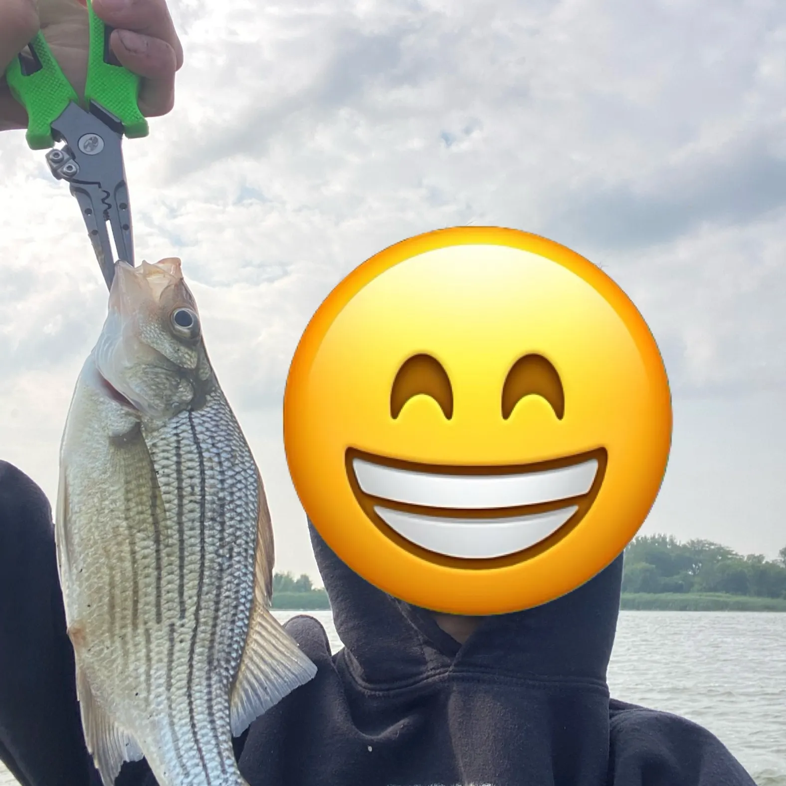 The most recent Yellow bass catches on Fishbrain