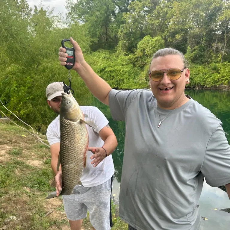 The most recent Grass carp catches on Fishbrain
