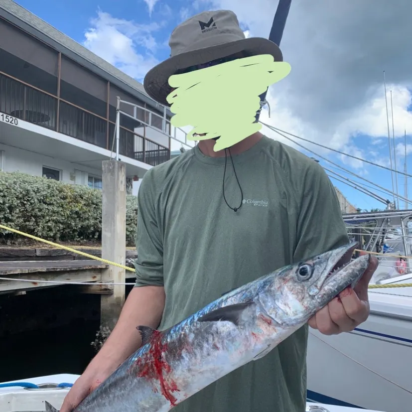 The most recent King mackerel catches on Fishbrain