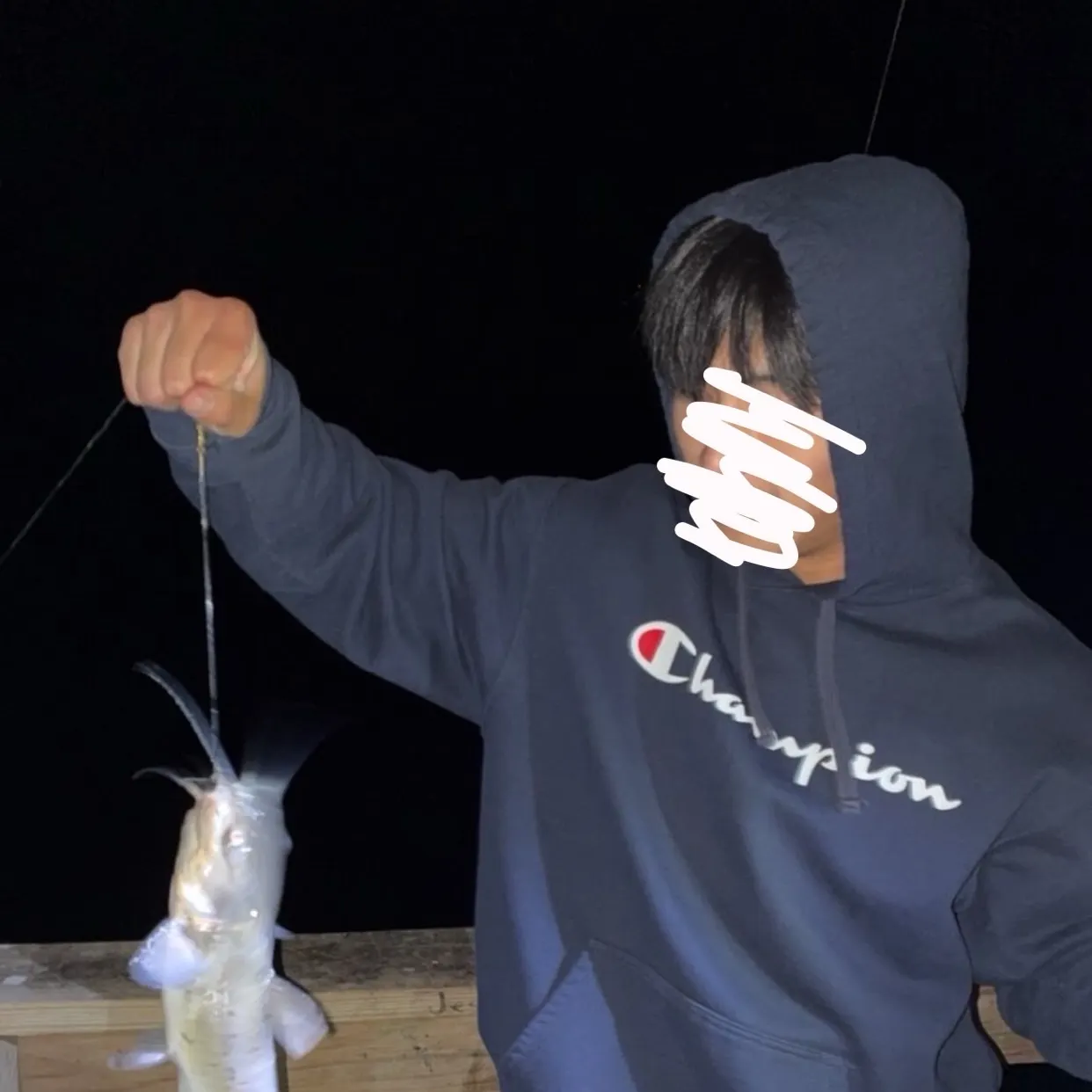 Channel catfish caught on Fishbrain