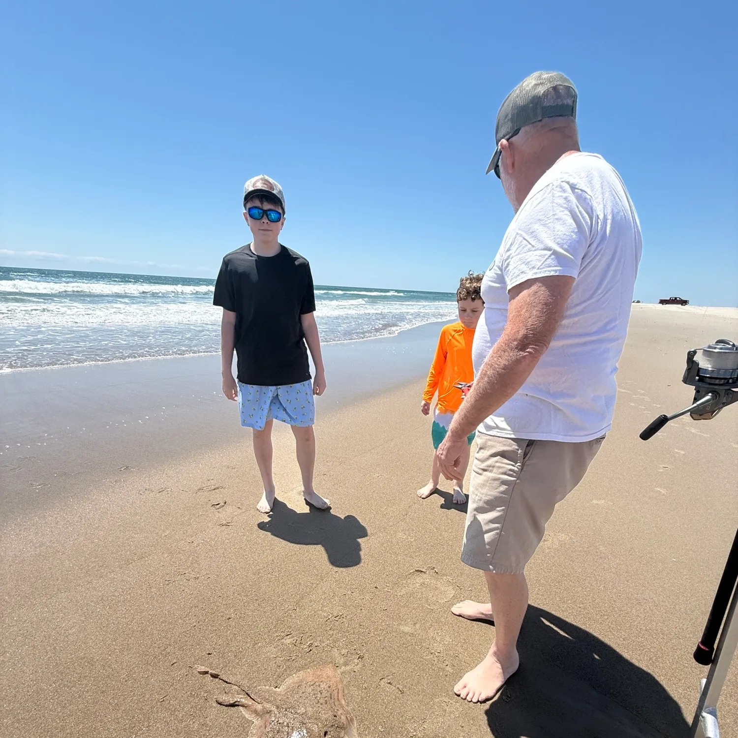 The most recent Blue skate catches on Fishbrain