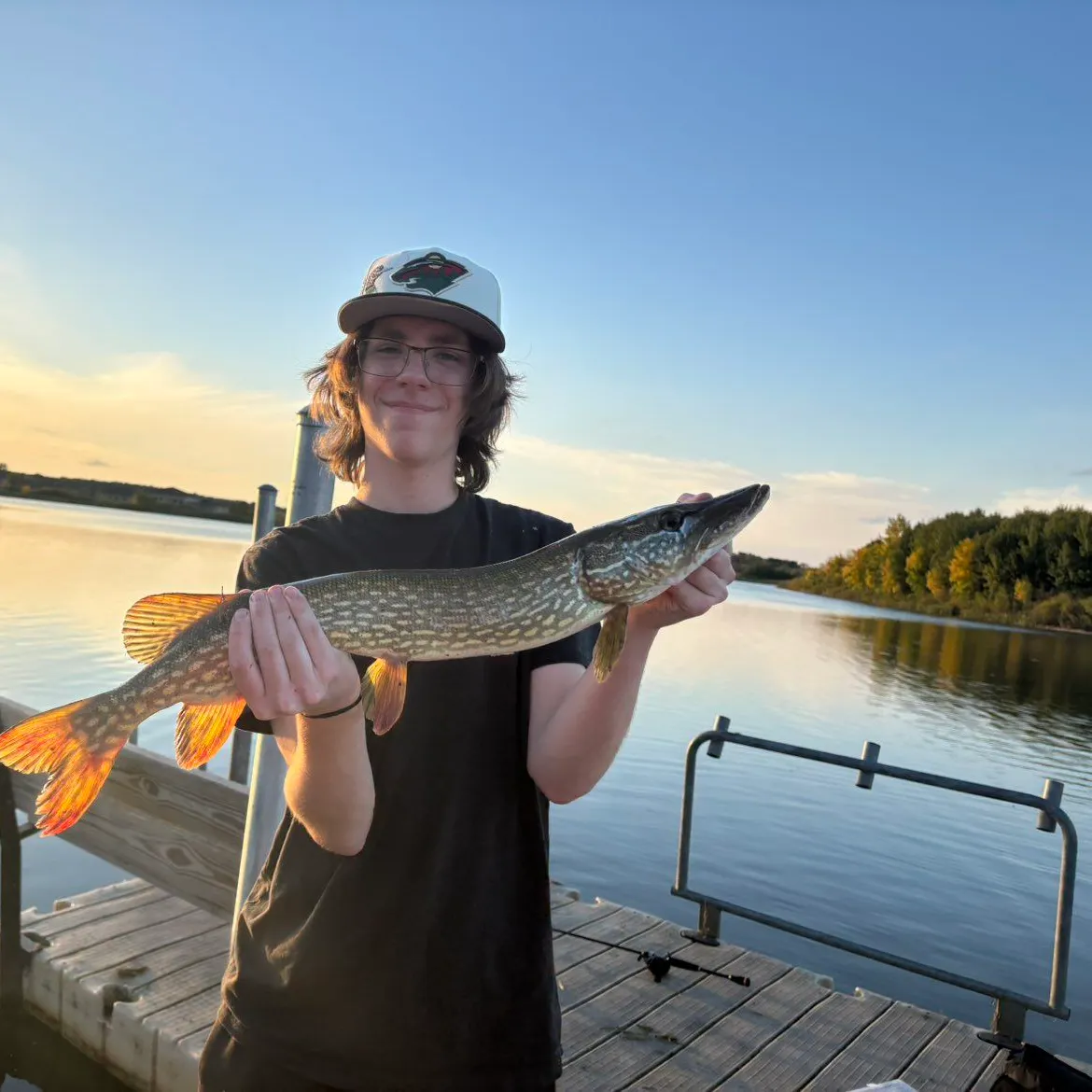 Northern pike caught on Fishbrain