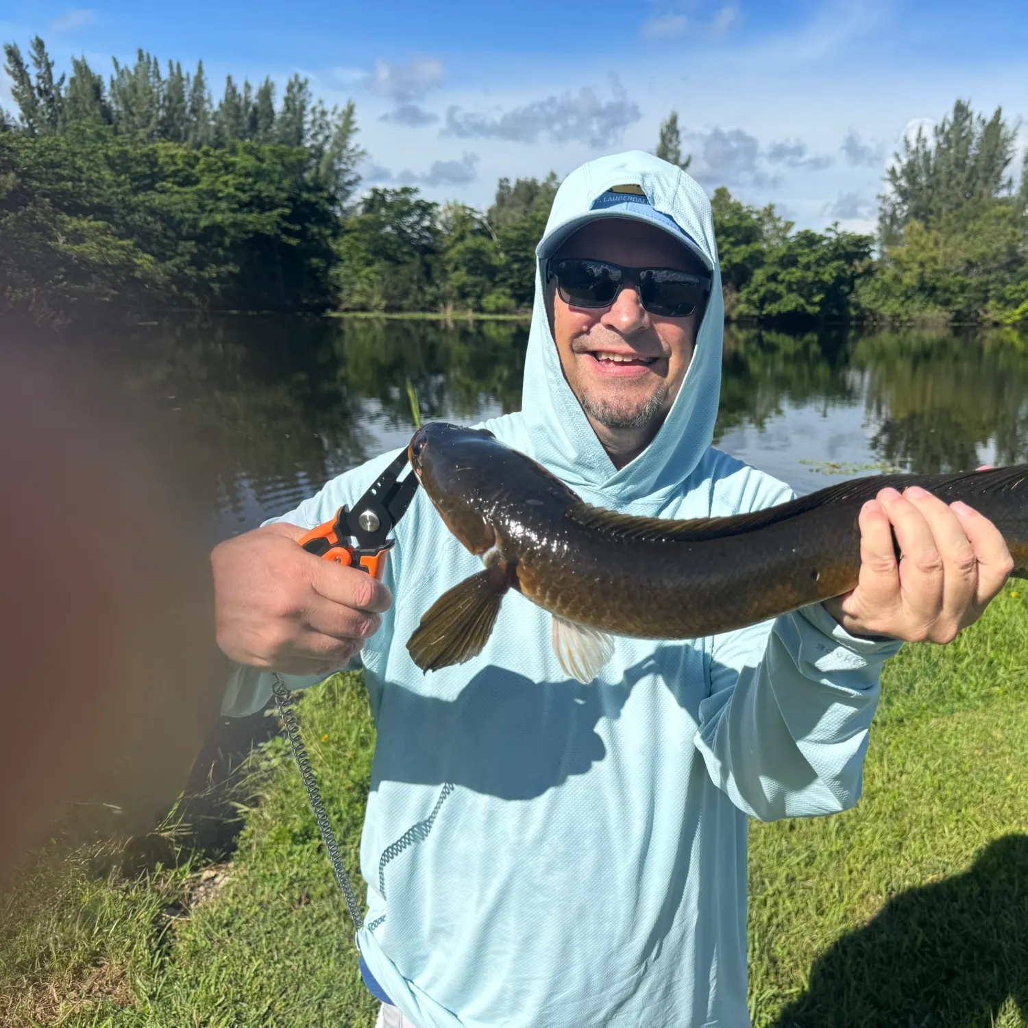 Bullseye snakehead caught on Fishbrain