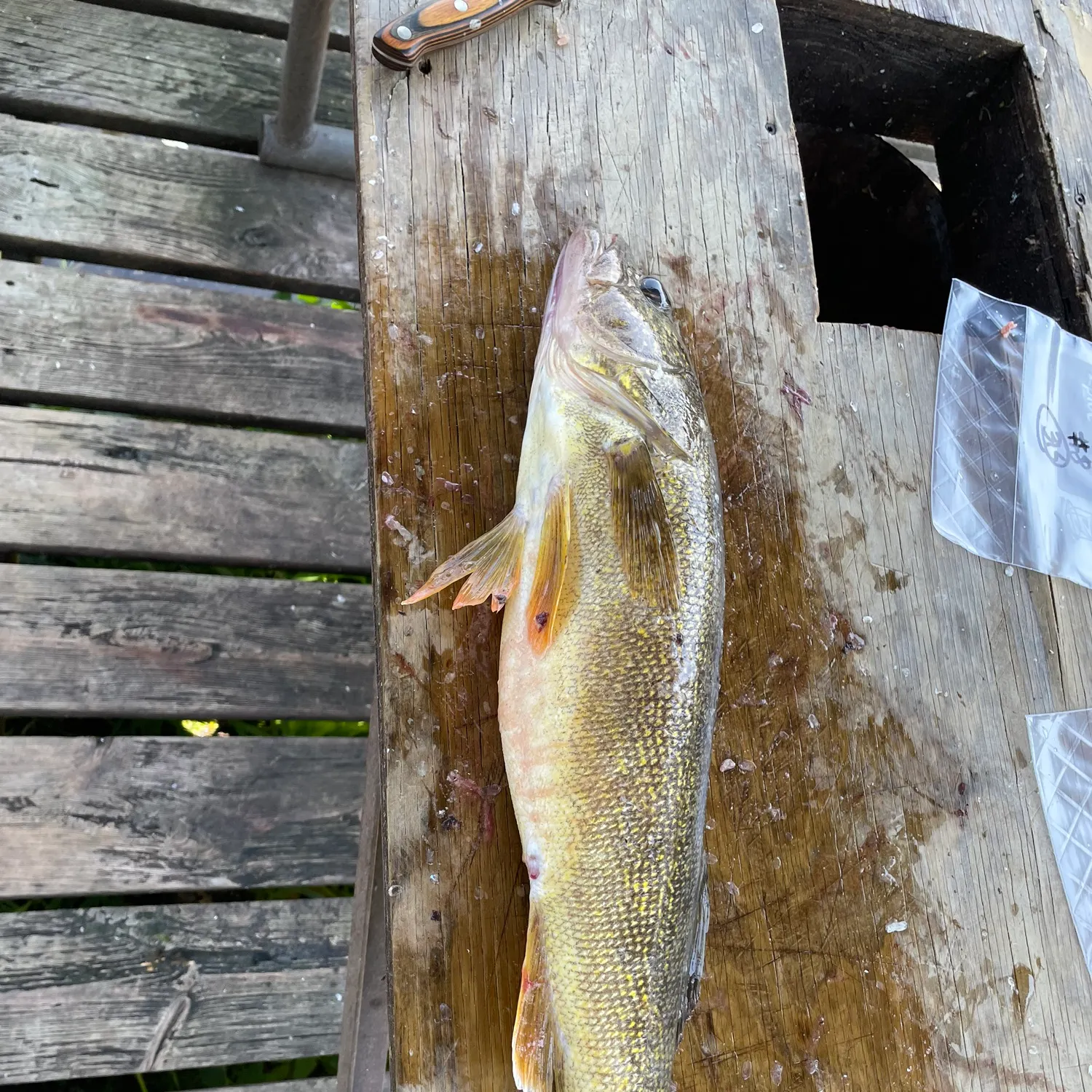 catch