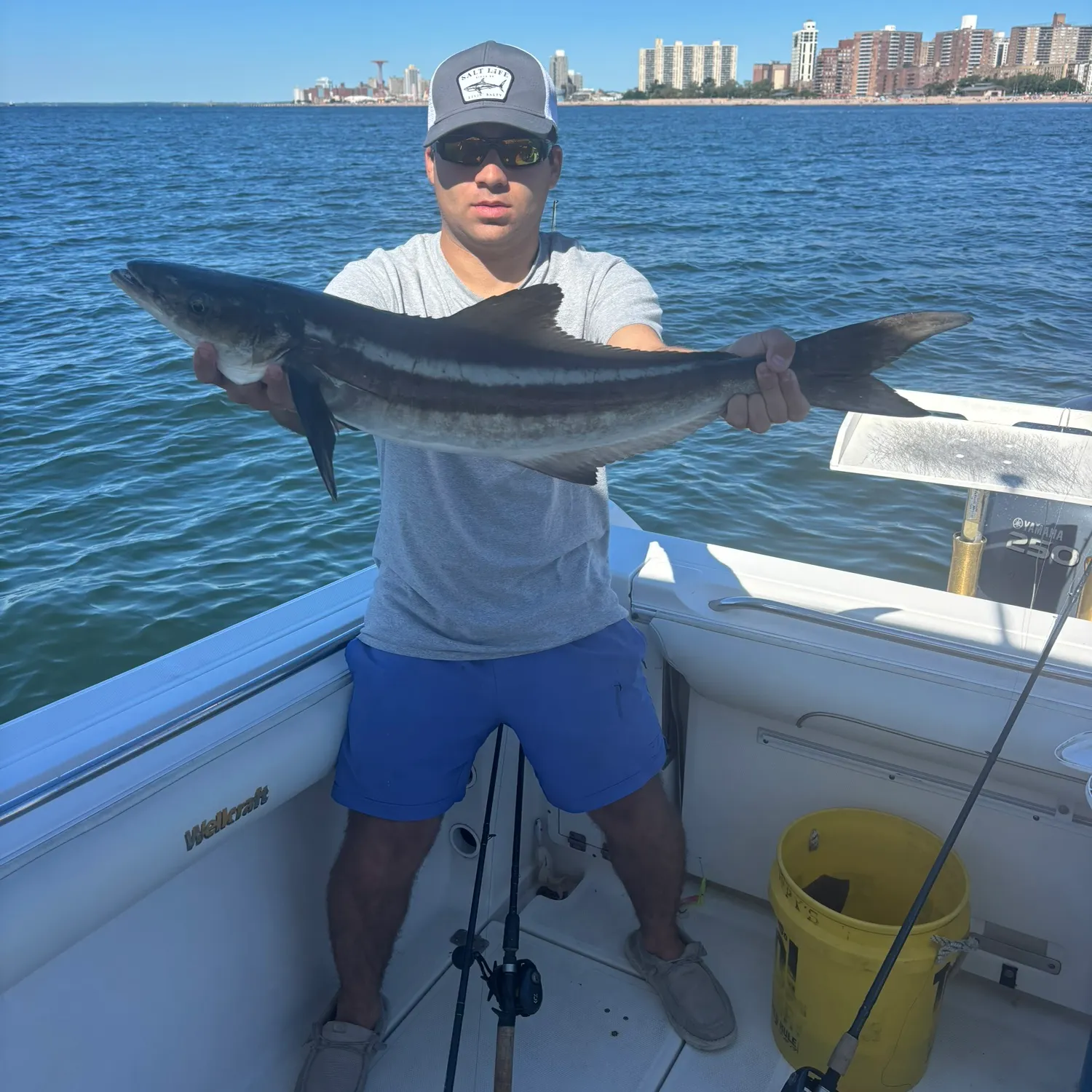 Cobia caught on Fishbrain