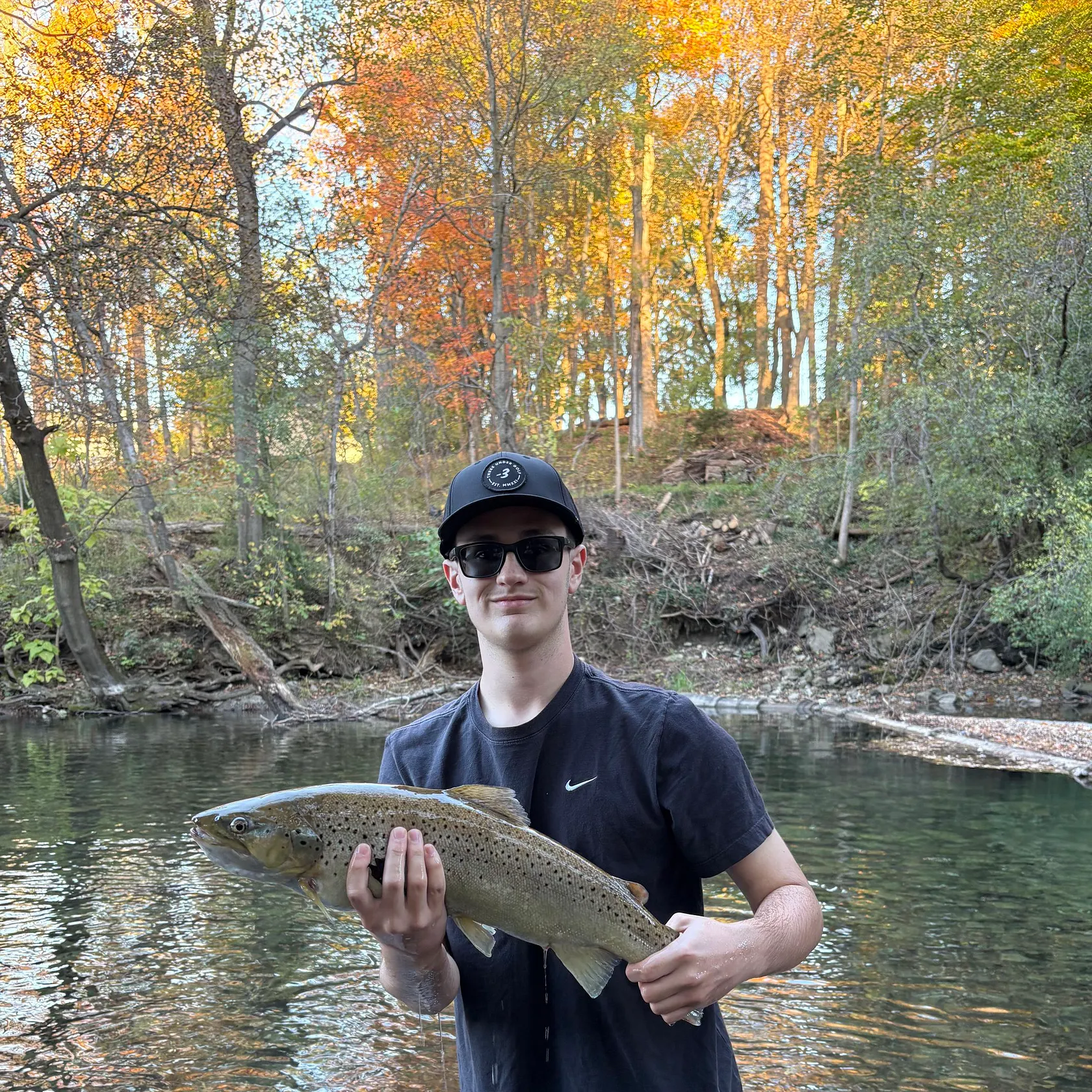 Brown trout caught on Fishbrain