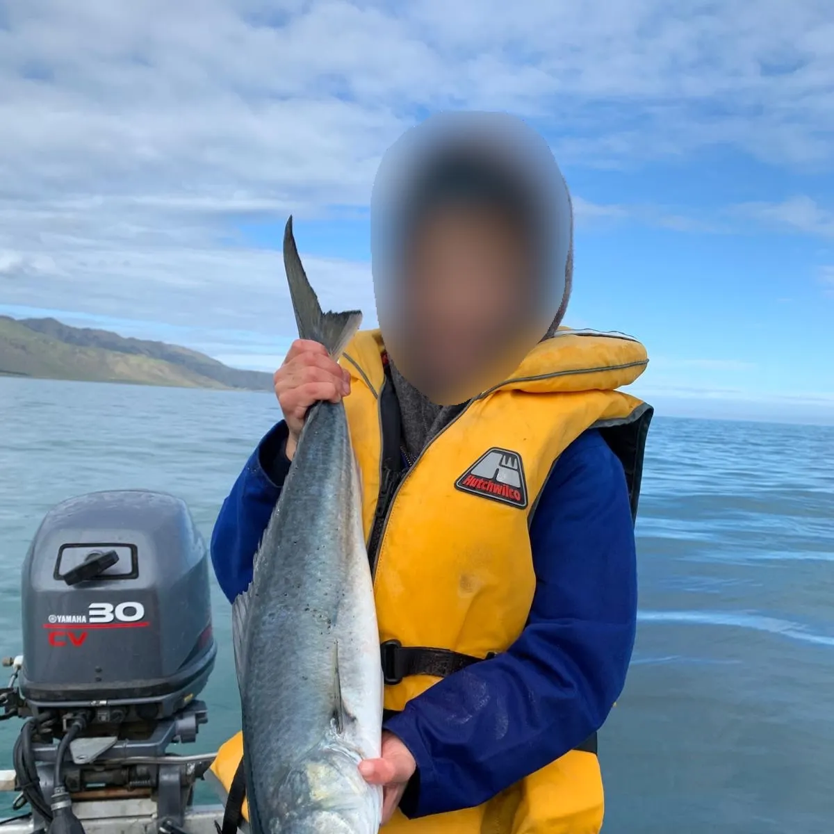 Eastern Australian salmon caught on Fishbrain