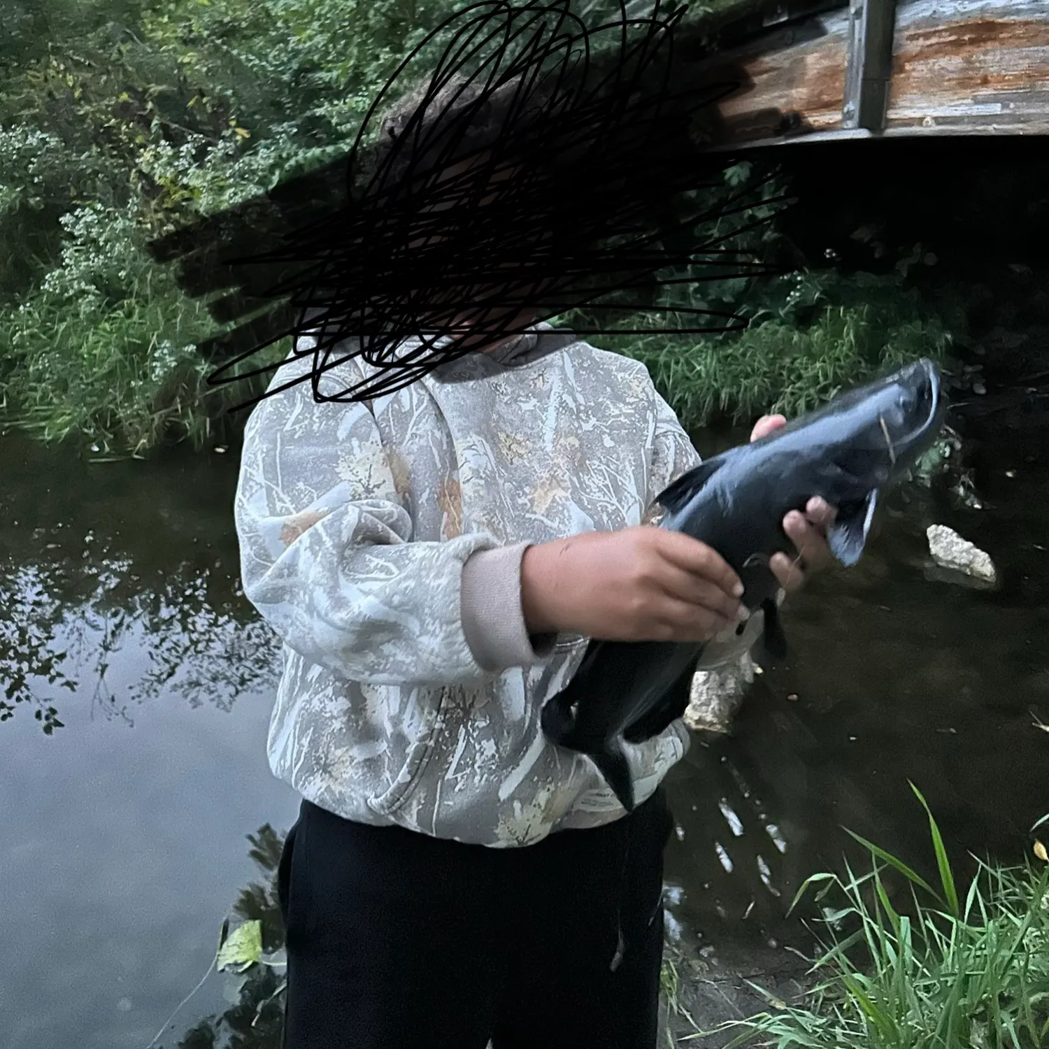Blue catfish caught on Fishbrain
