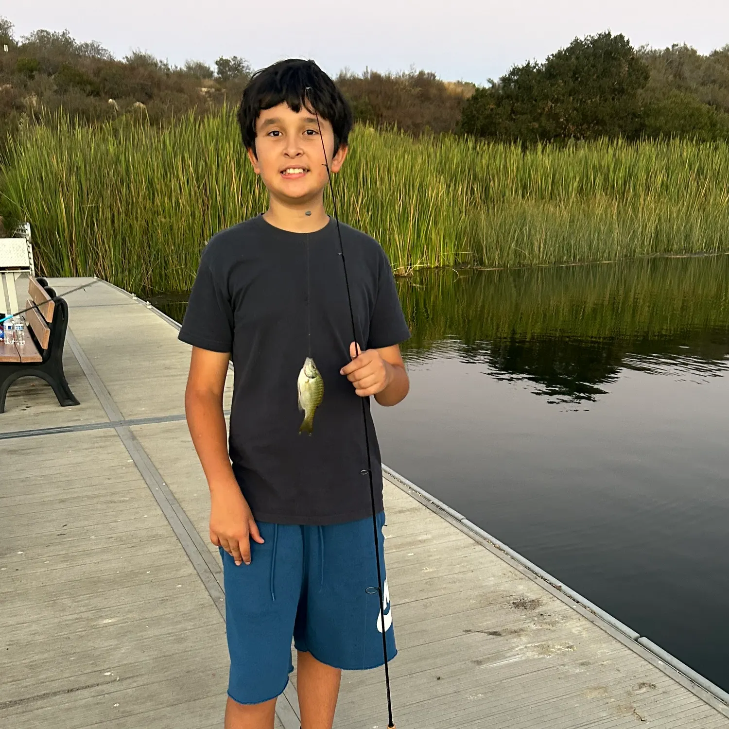 Bluegill caught on Fishbrain