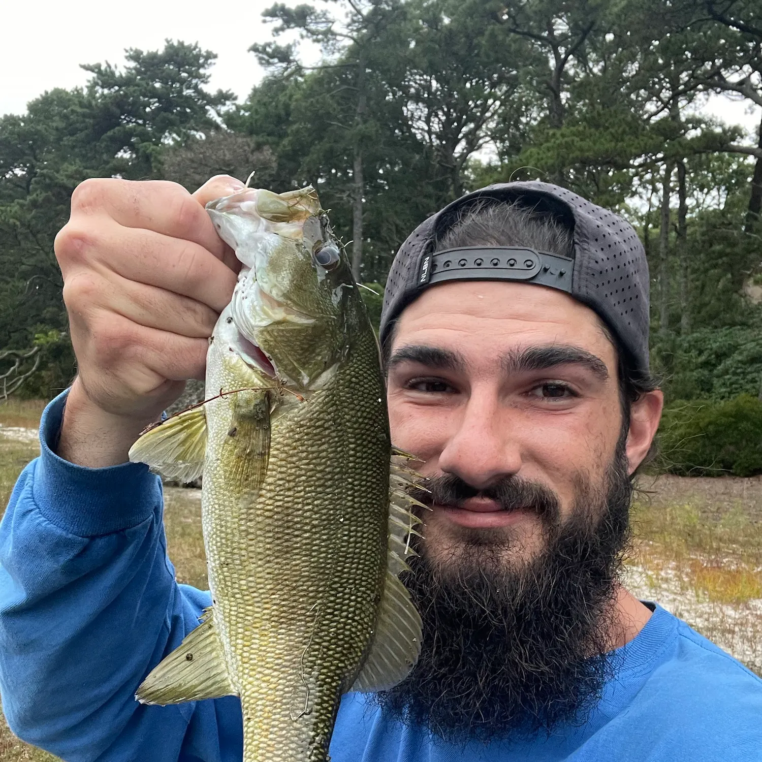 Smallmouth bass caught on Fishbrain