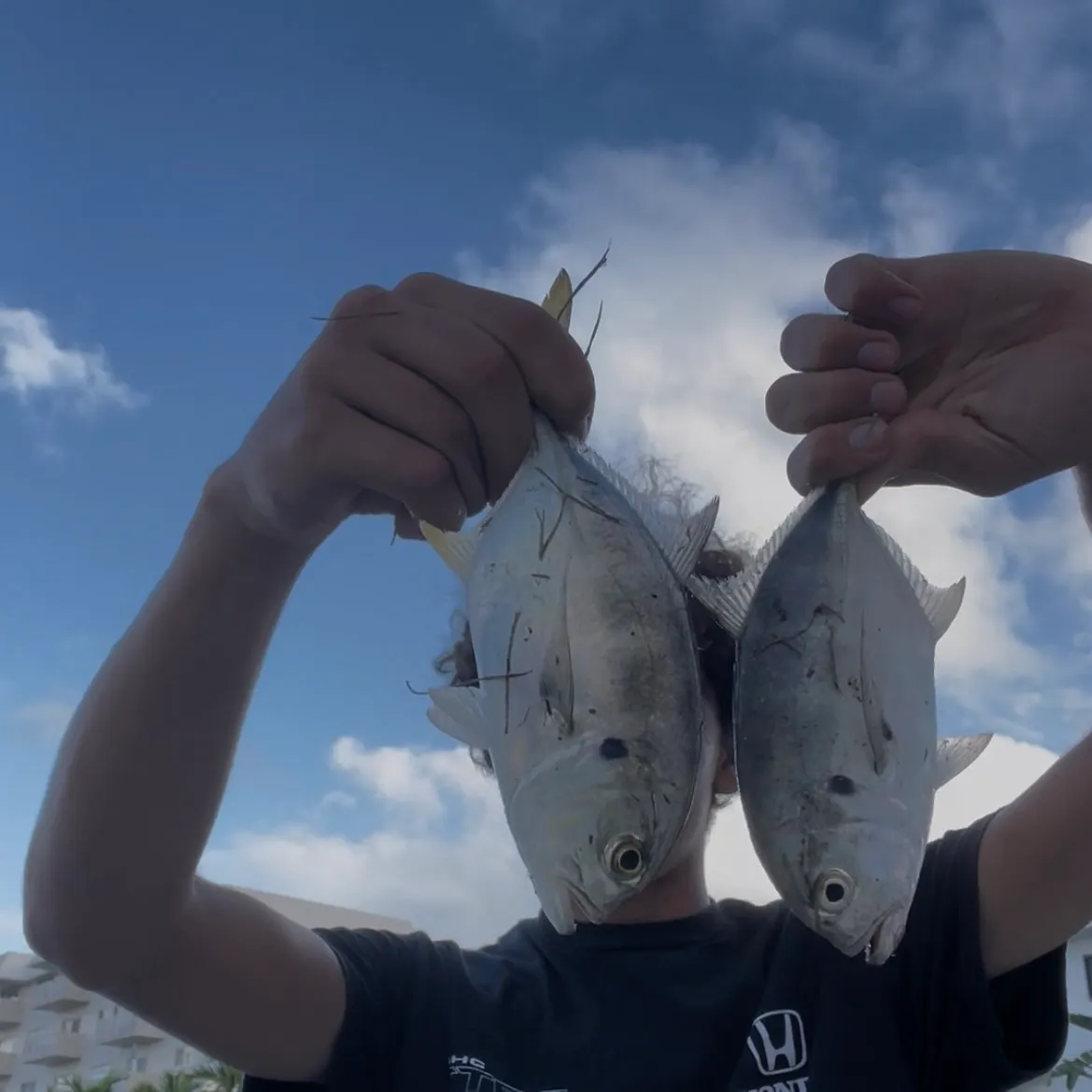 Crevalle jack caught on Fishbrain