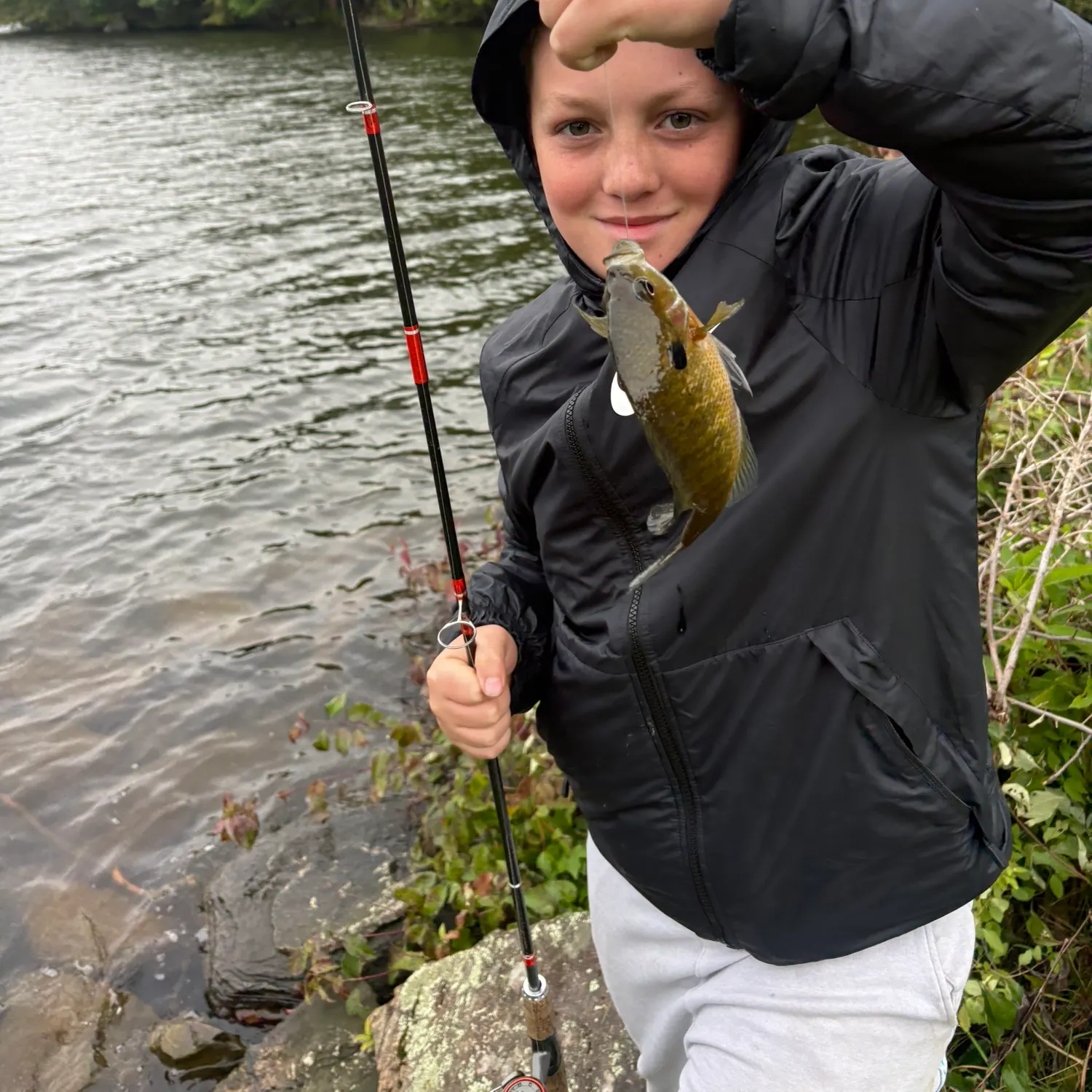 Bluegill caught on Fishbrain
