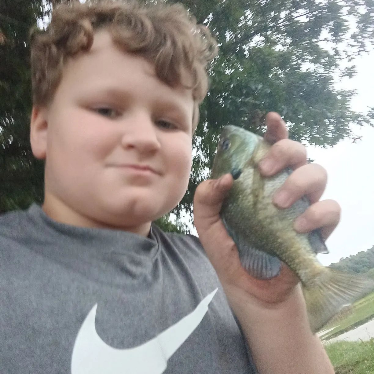 Fish caught on Fishbrain