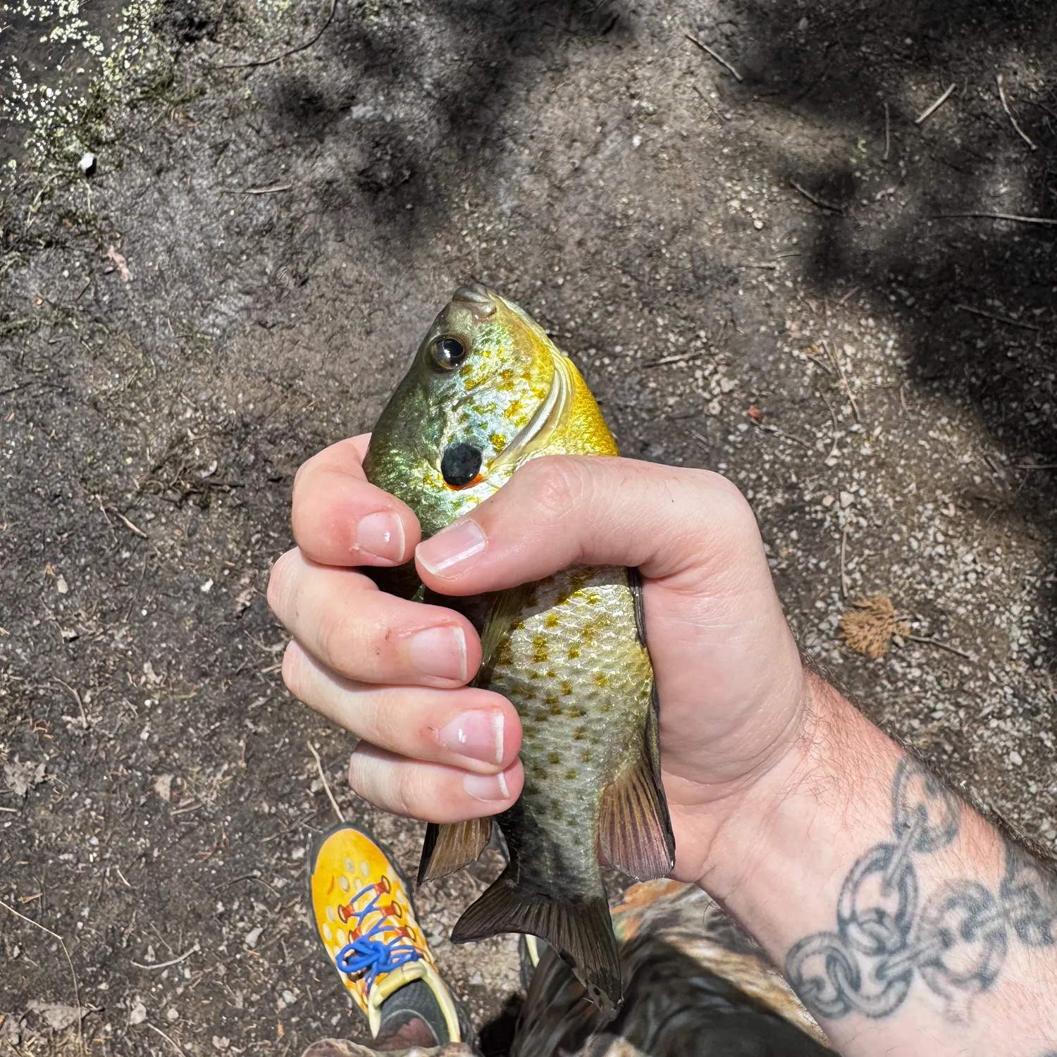 catch