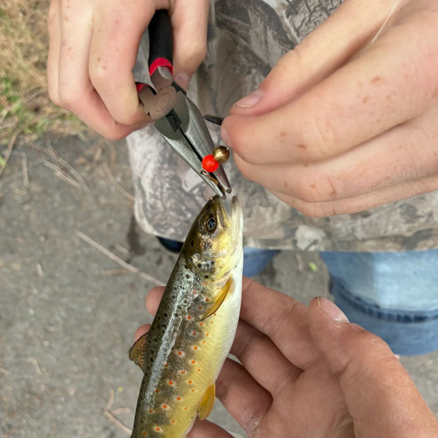 catch