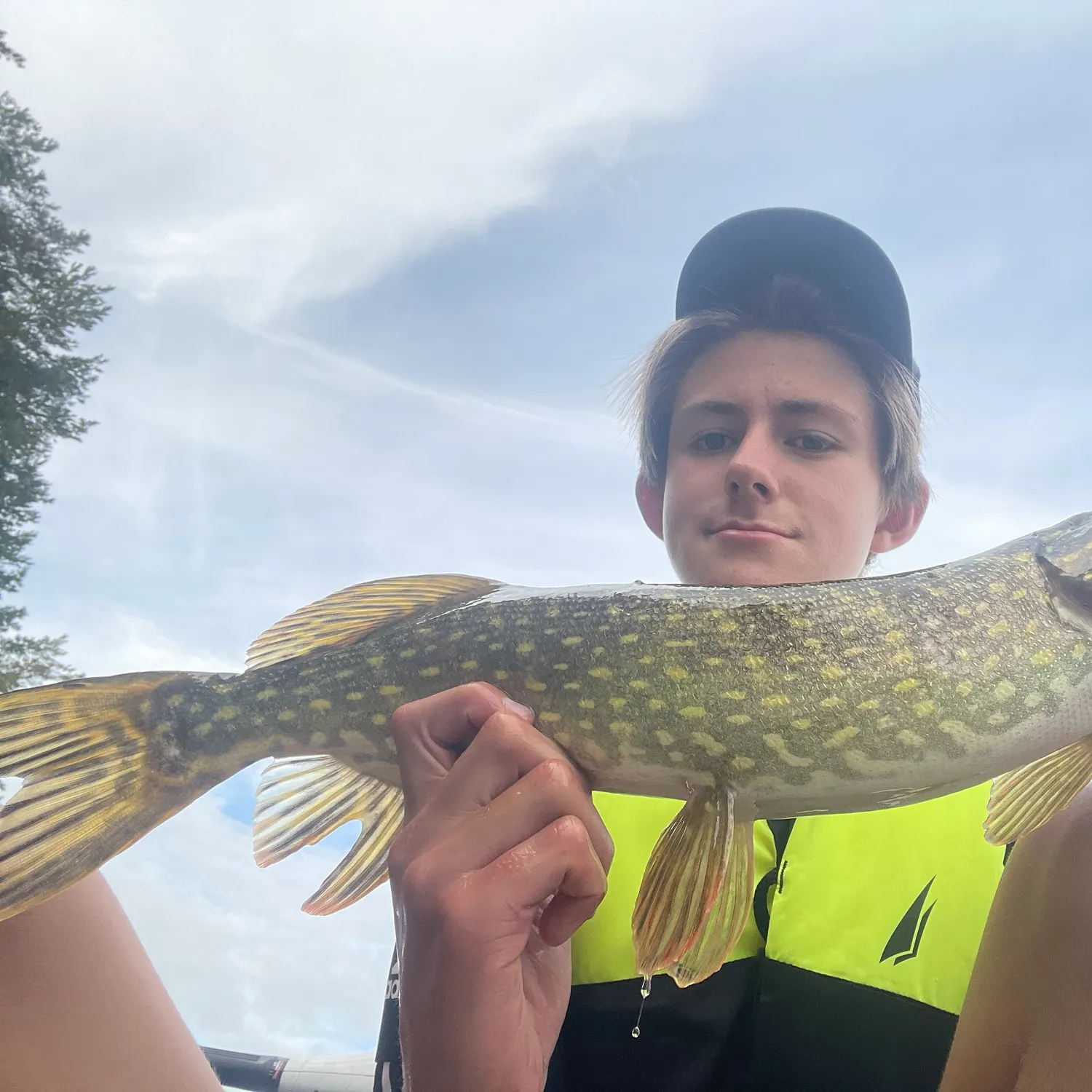 Northern pike caught on Fishbrain