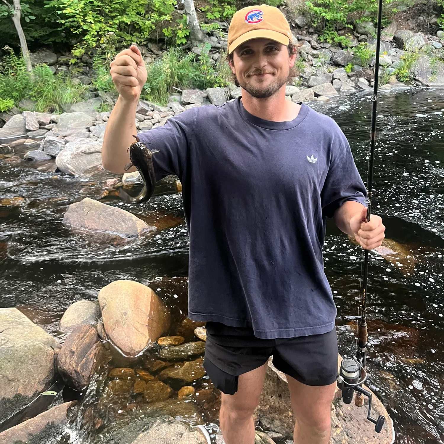Black bullhead caught on Fishbrain